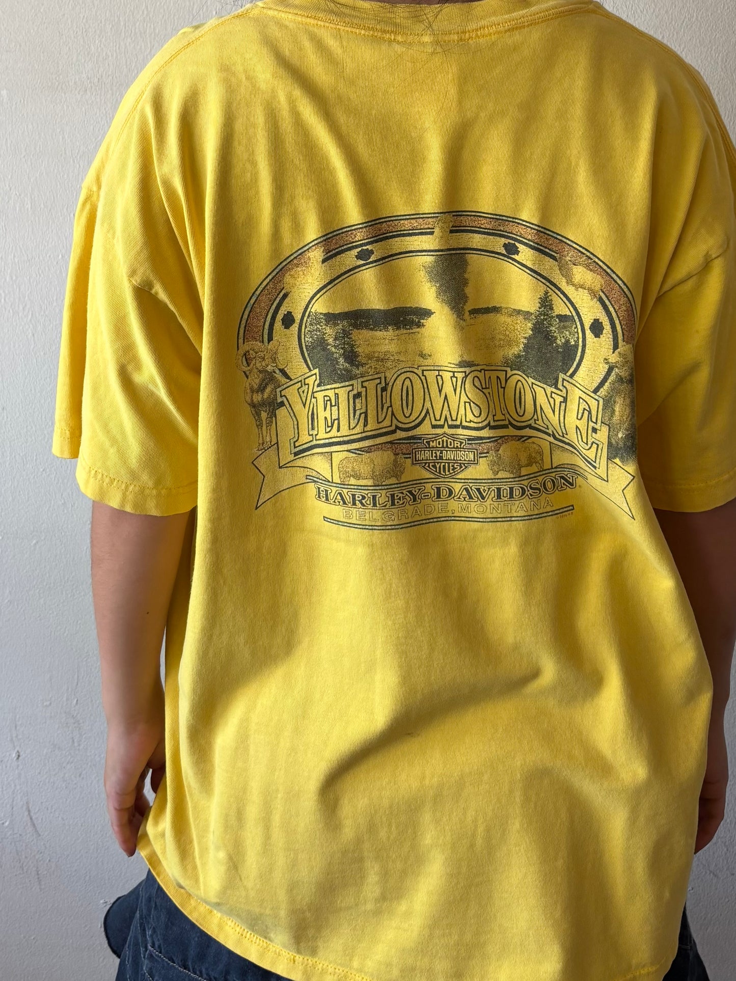Vintage Harley Davidson Yellowstone Shirt
