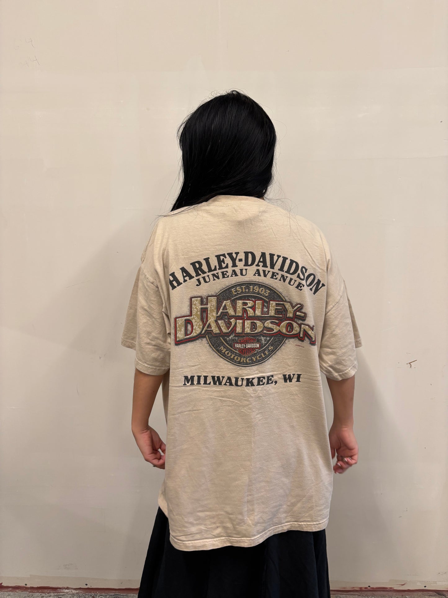 Vintage Harley Davidson Milwaukee Shirt