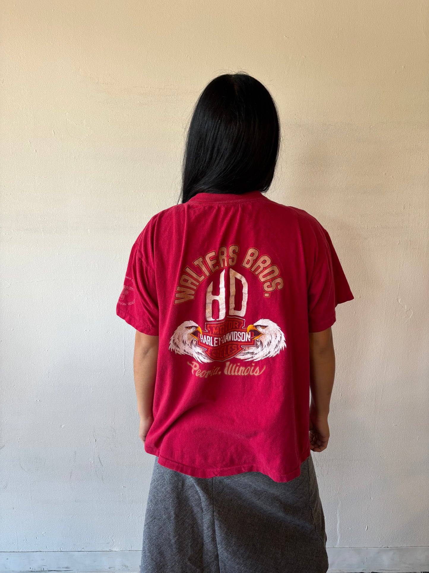 Vintage Harley Davidson Illinois Shirt