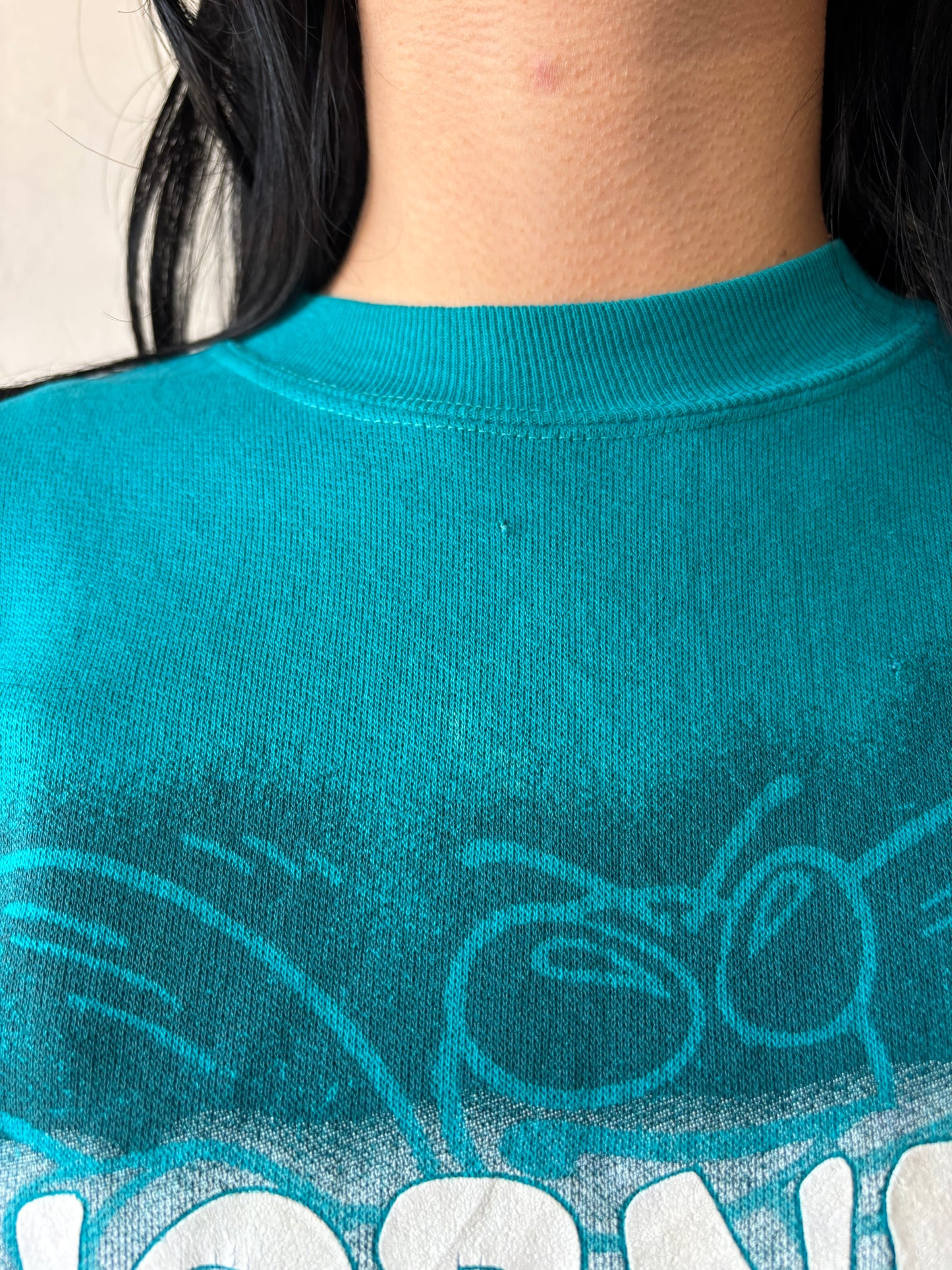Vintage Charlotte Hornets Crewneck