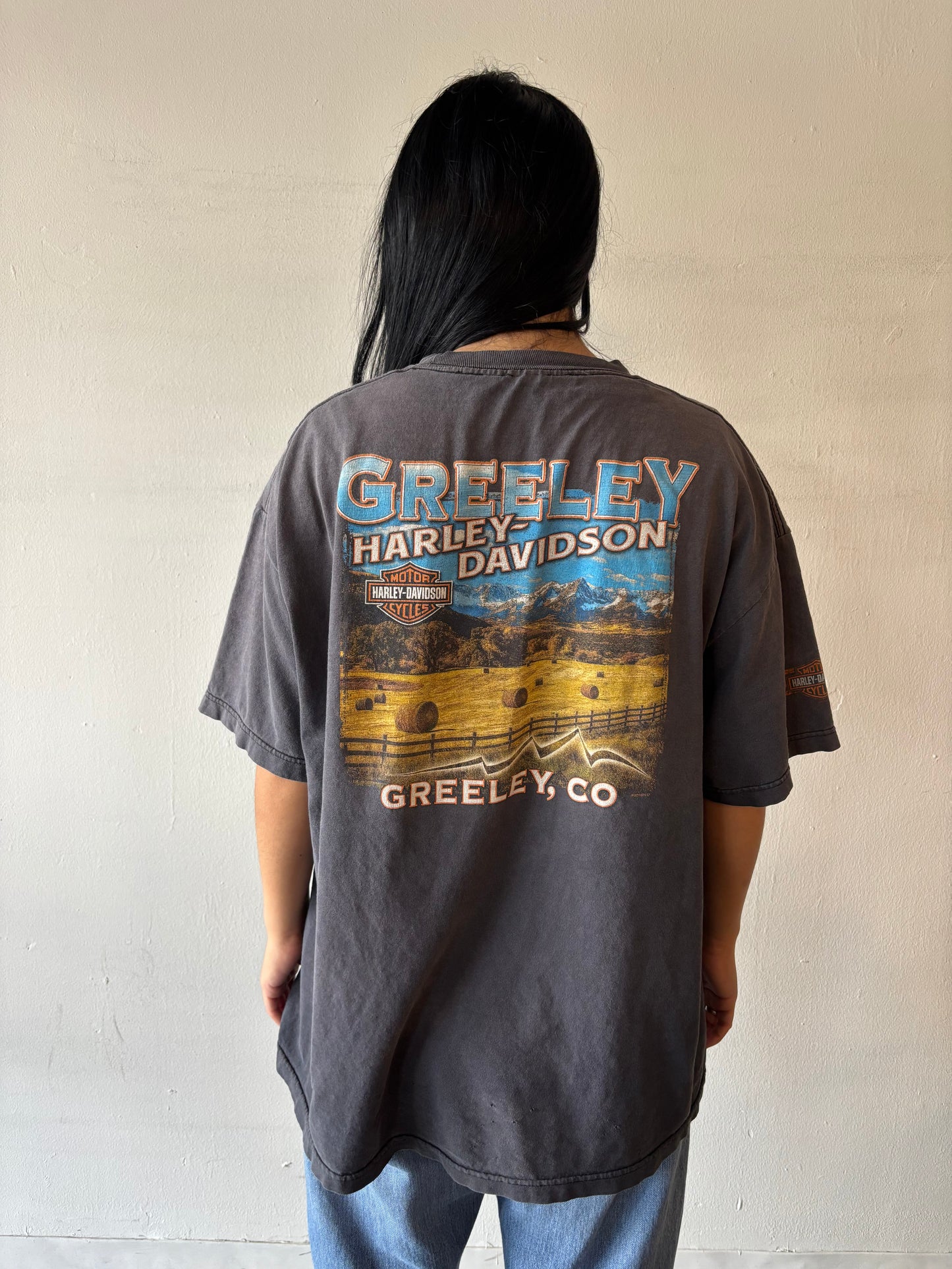 Harley Davidson Colorado Shirt