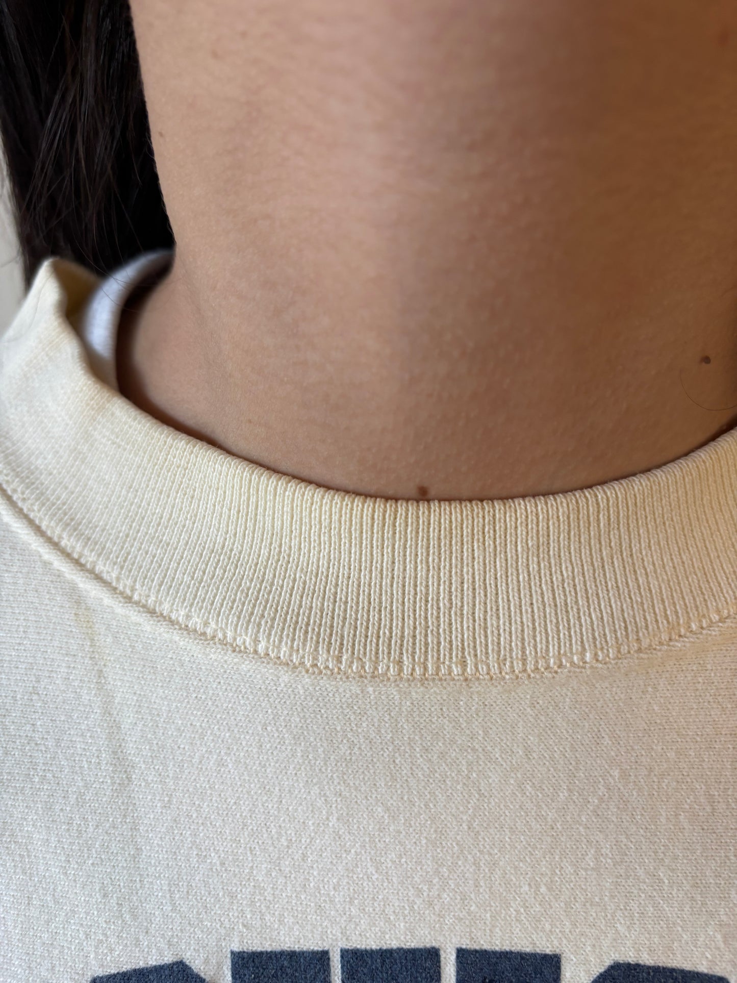 Vintage Michigan Crewneck