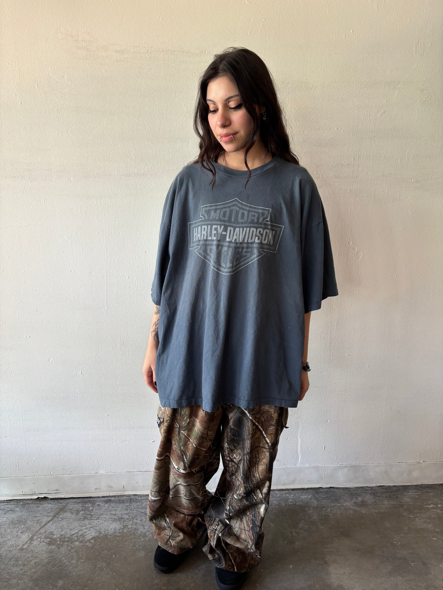 Vintage Harley Davidson Nevada Shirt