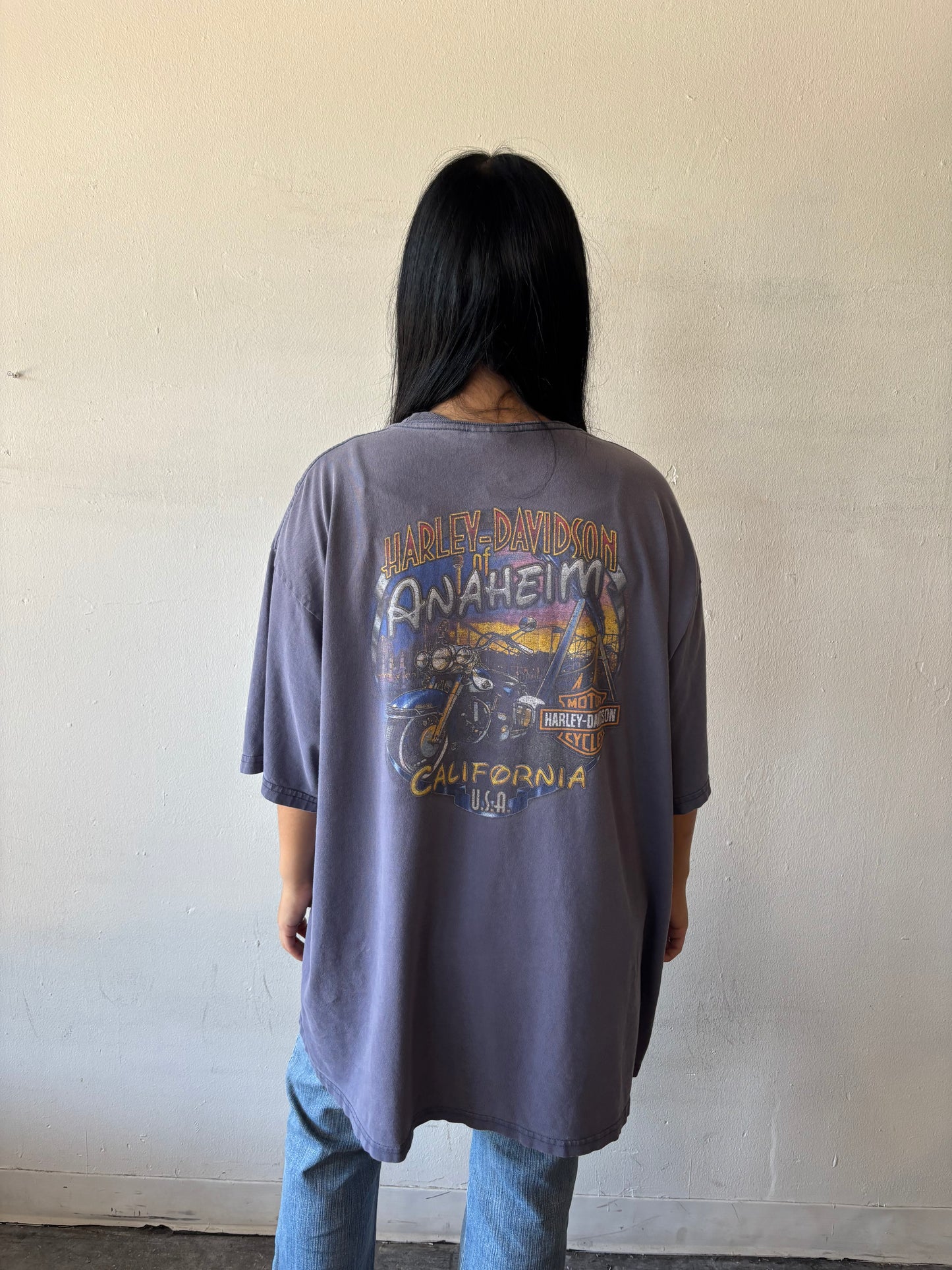 Vintage Harley Davidson California Shirt