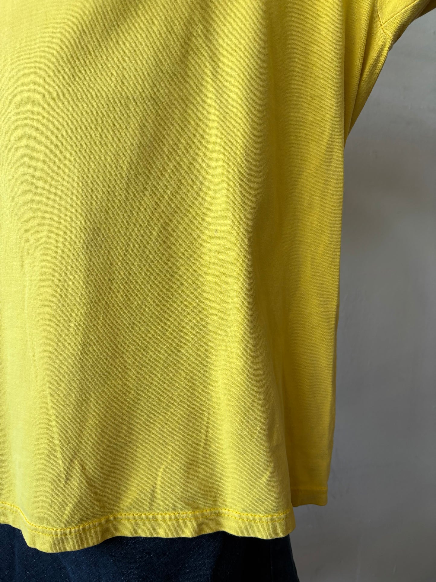 Vintage Harley Davidson Yellowstone Shirt