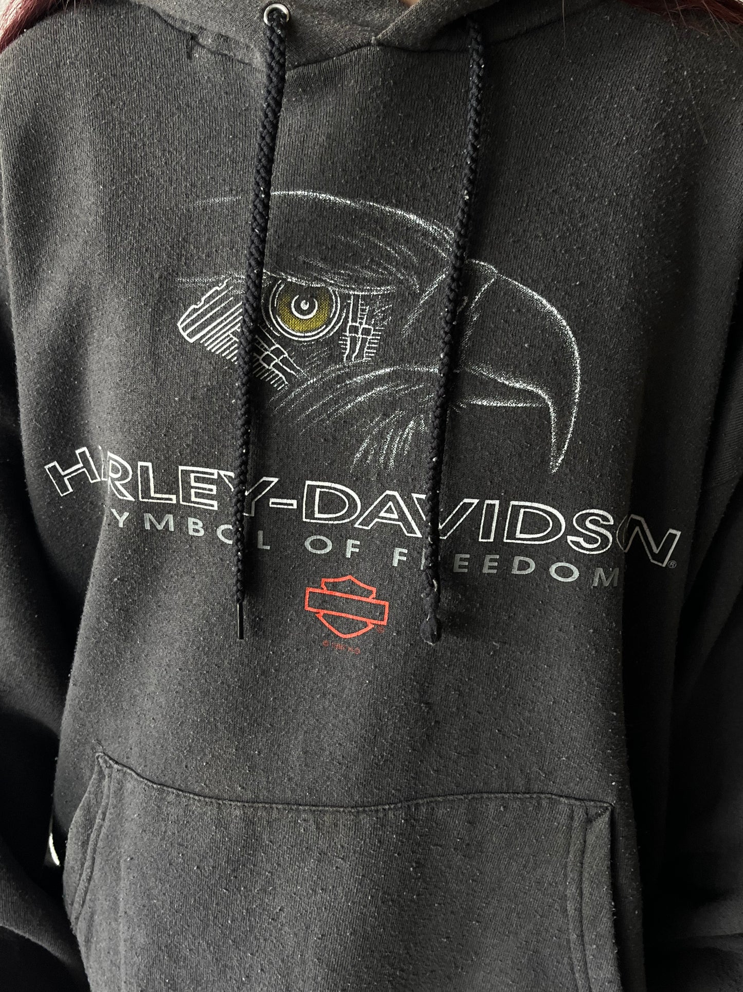 Vintage Harley Davidson Mississippi Hoodie