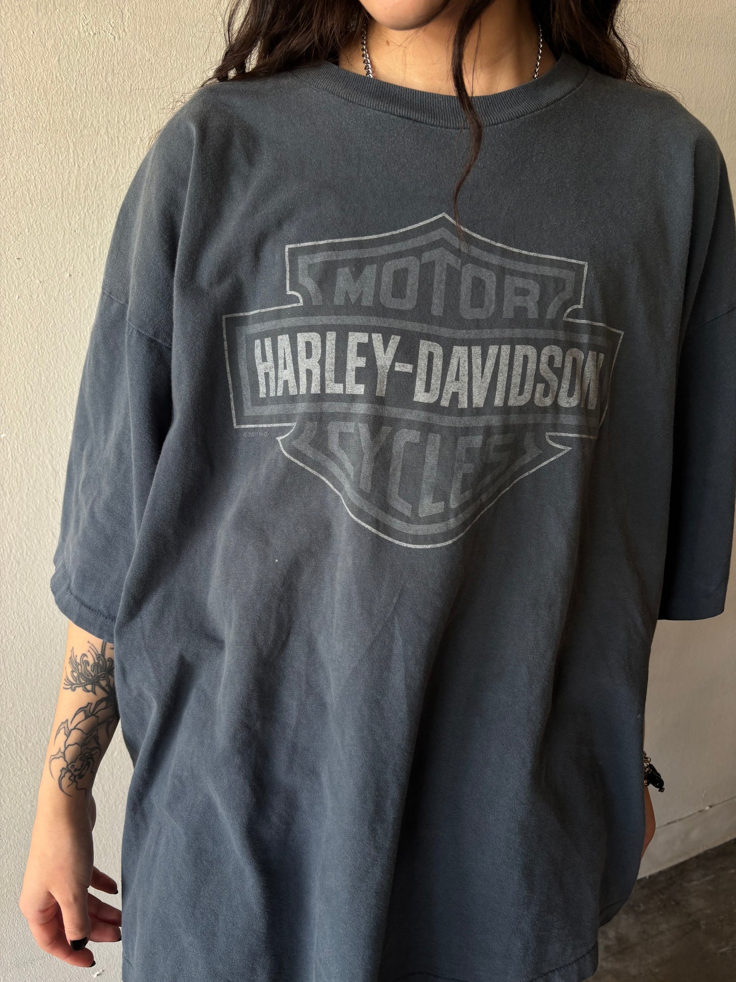 Vintage Harley Davidson Nevada Shirt