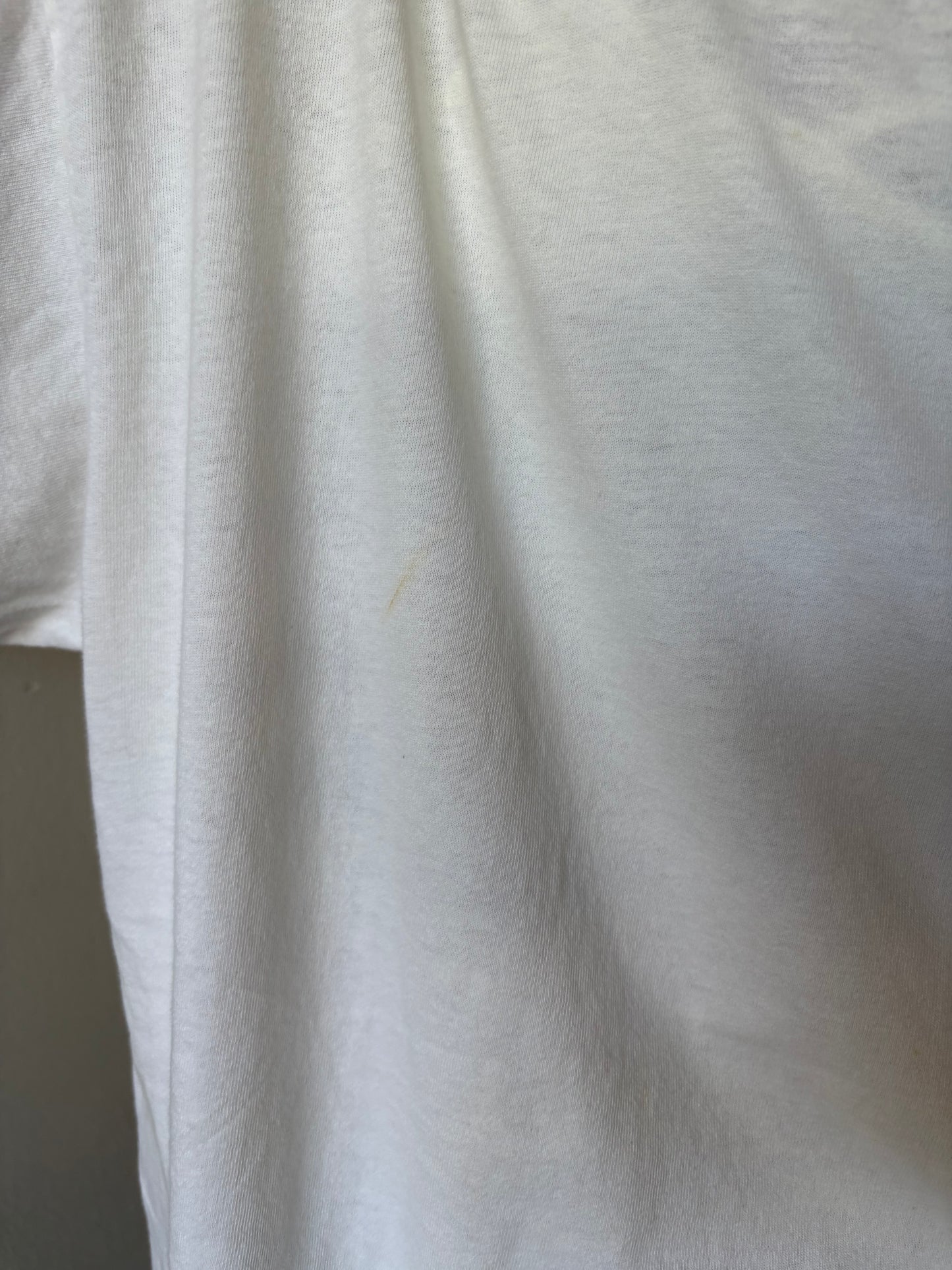 Vintage Tweety Bird Iowa Shirt
