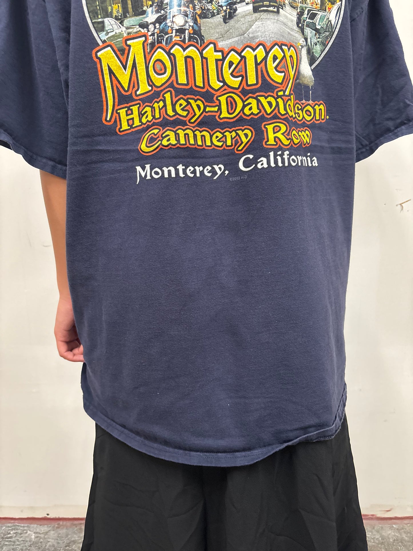 Vintage Harley Davidson California Shirt