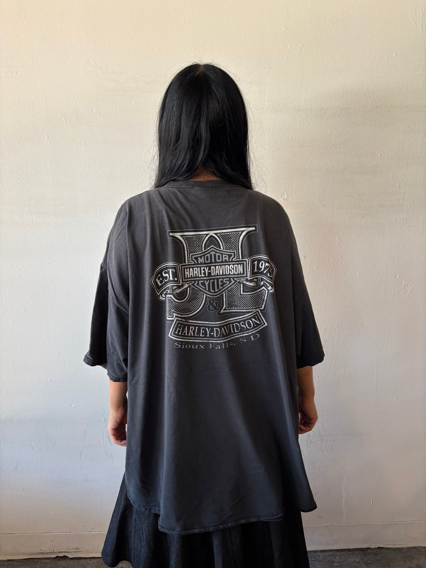 Vintage Harley Davidson Sioux Falls Shirt
