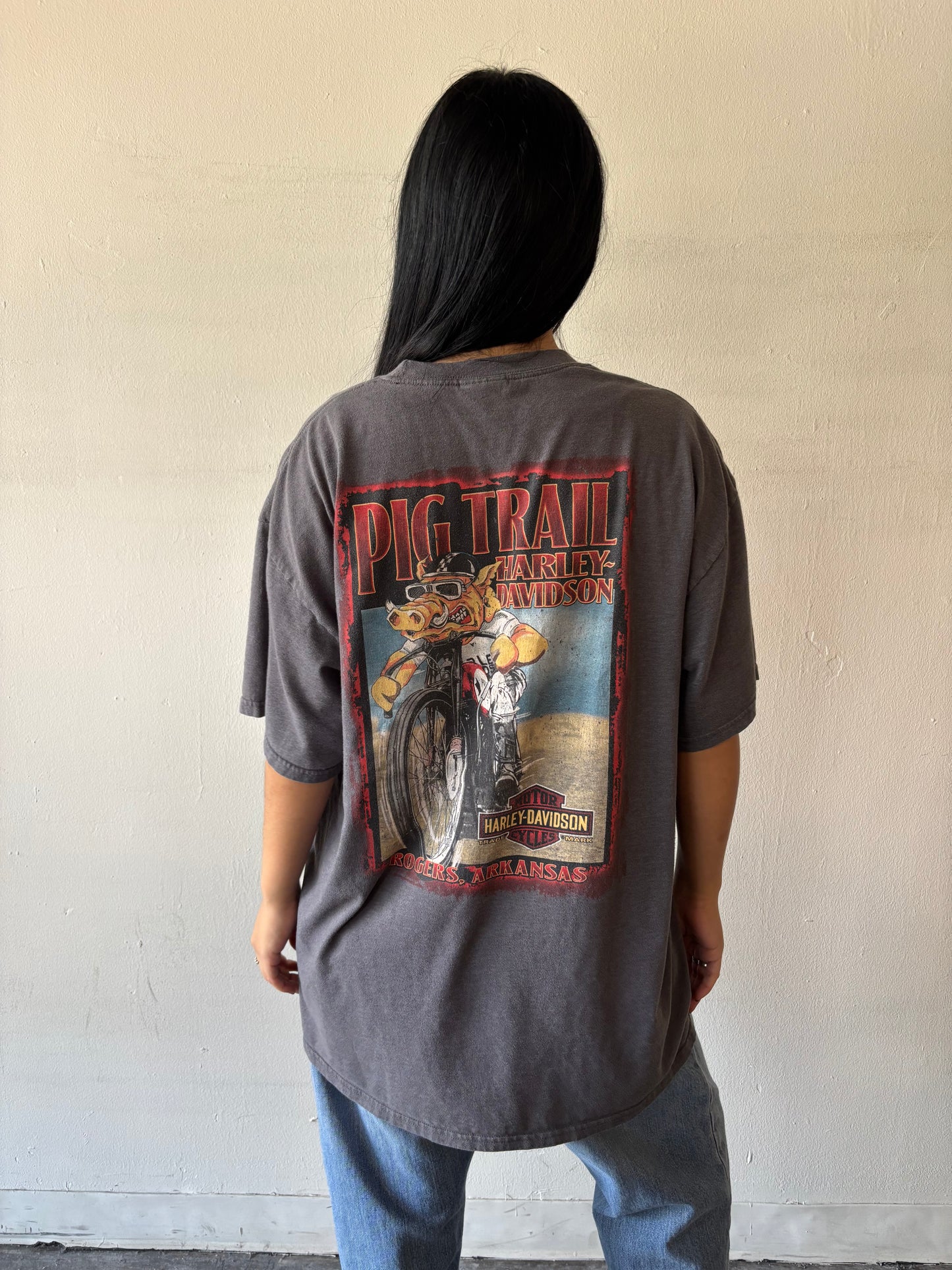 Harley Davidson Arkansas Shirt