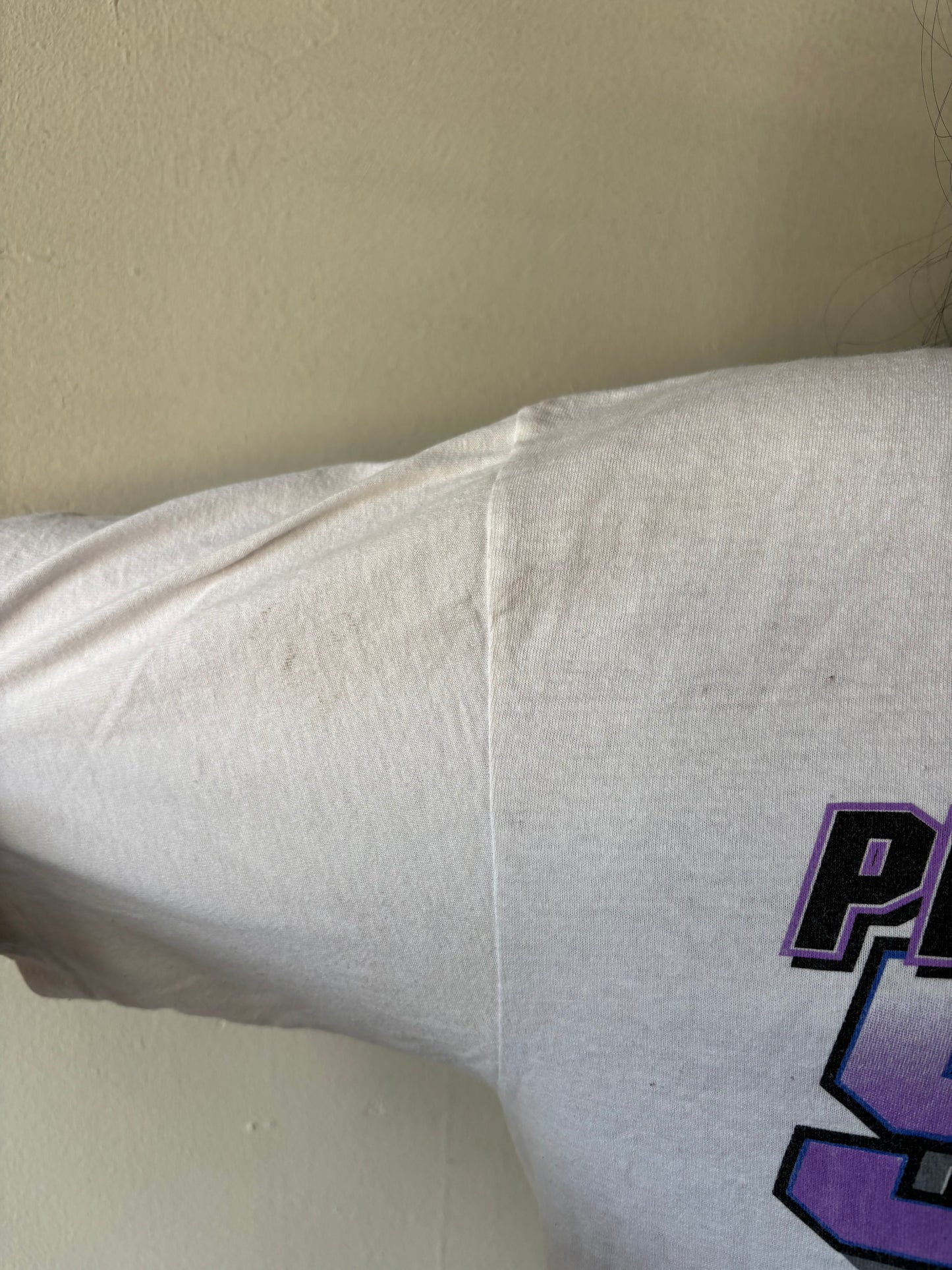 Vintage Pocono Racing Shirt