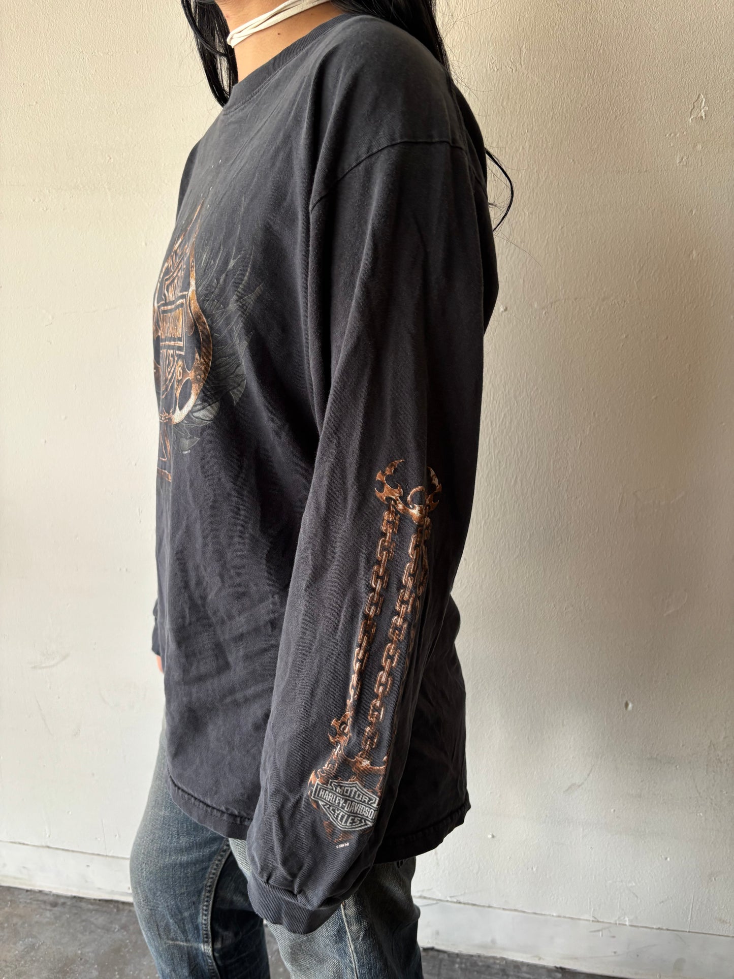 Harley Davidson Iowa Shirt