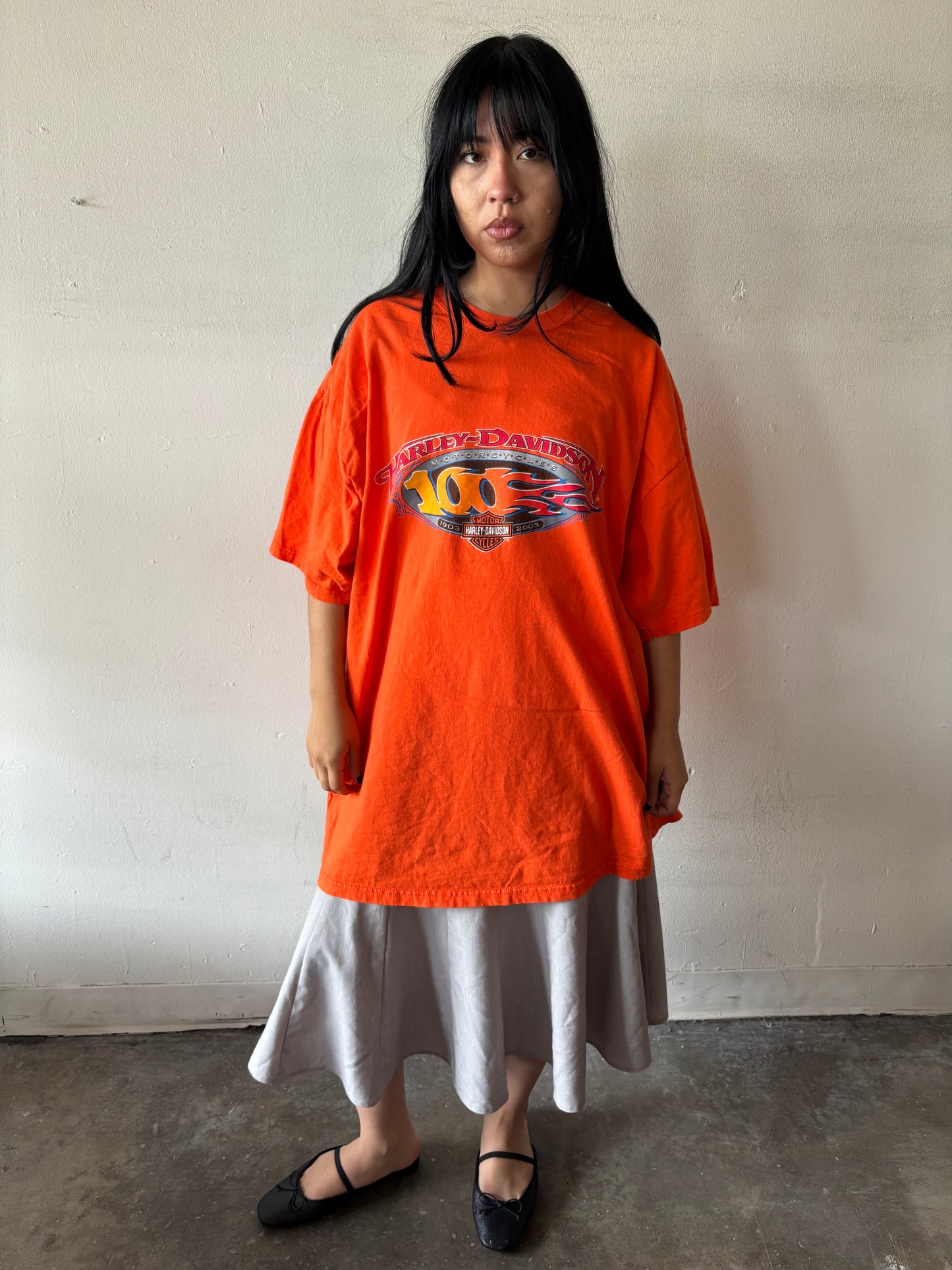 Vintage Harley Davidson Shirt
