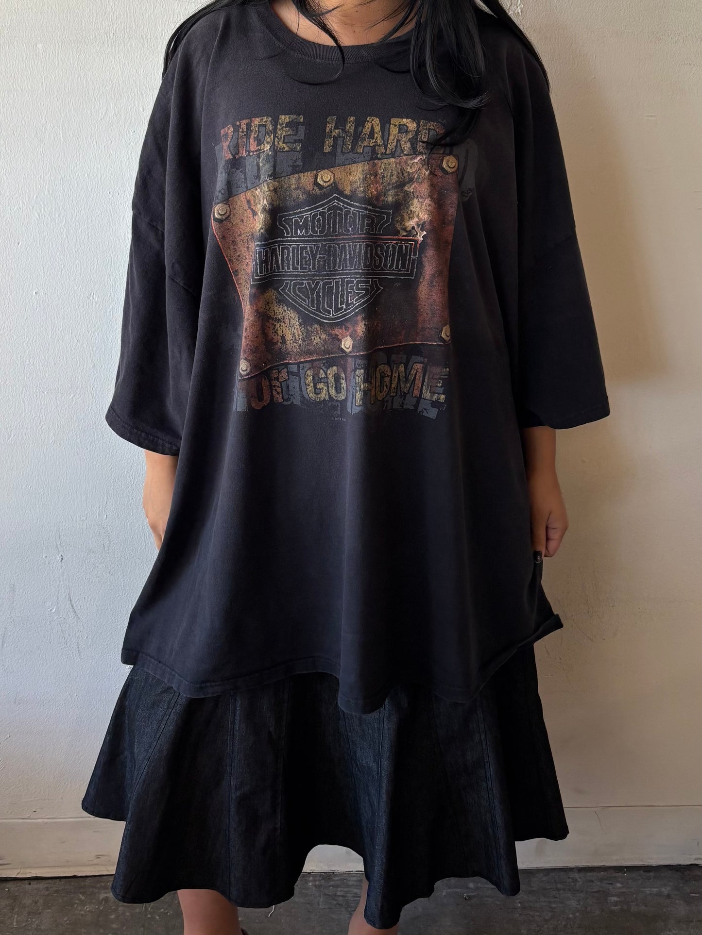 Vintage Harley Davidson South Dakota Shirt