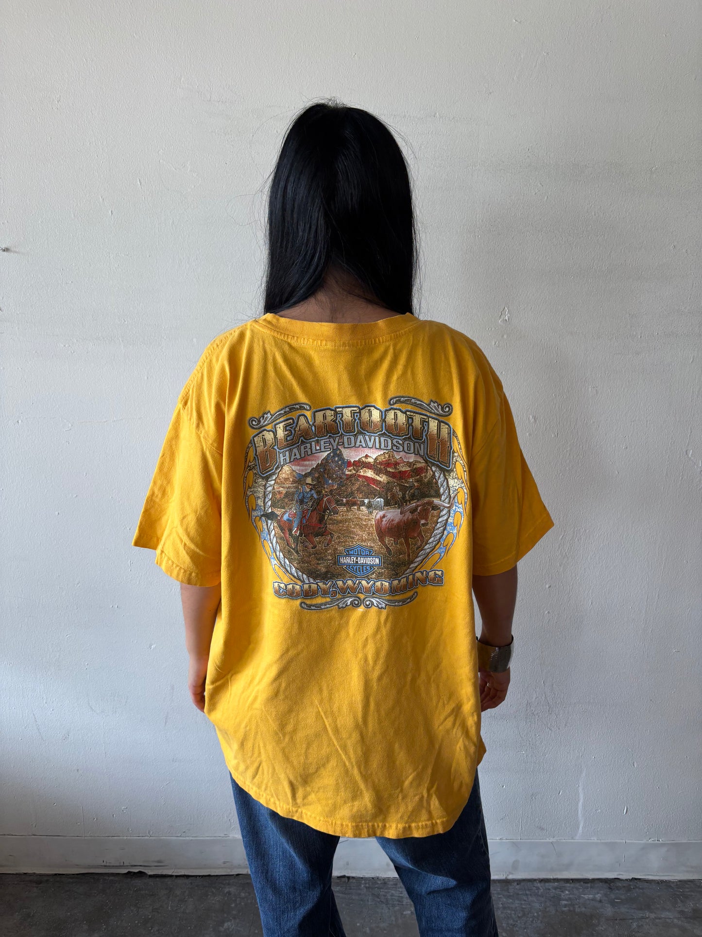 Vintage Harley Davidson Wyoming Shirt