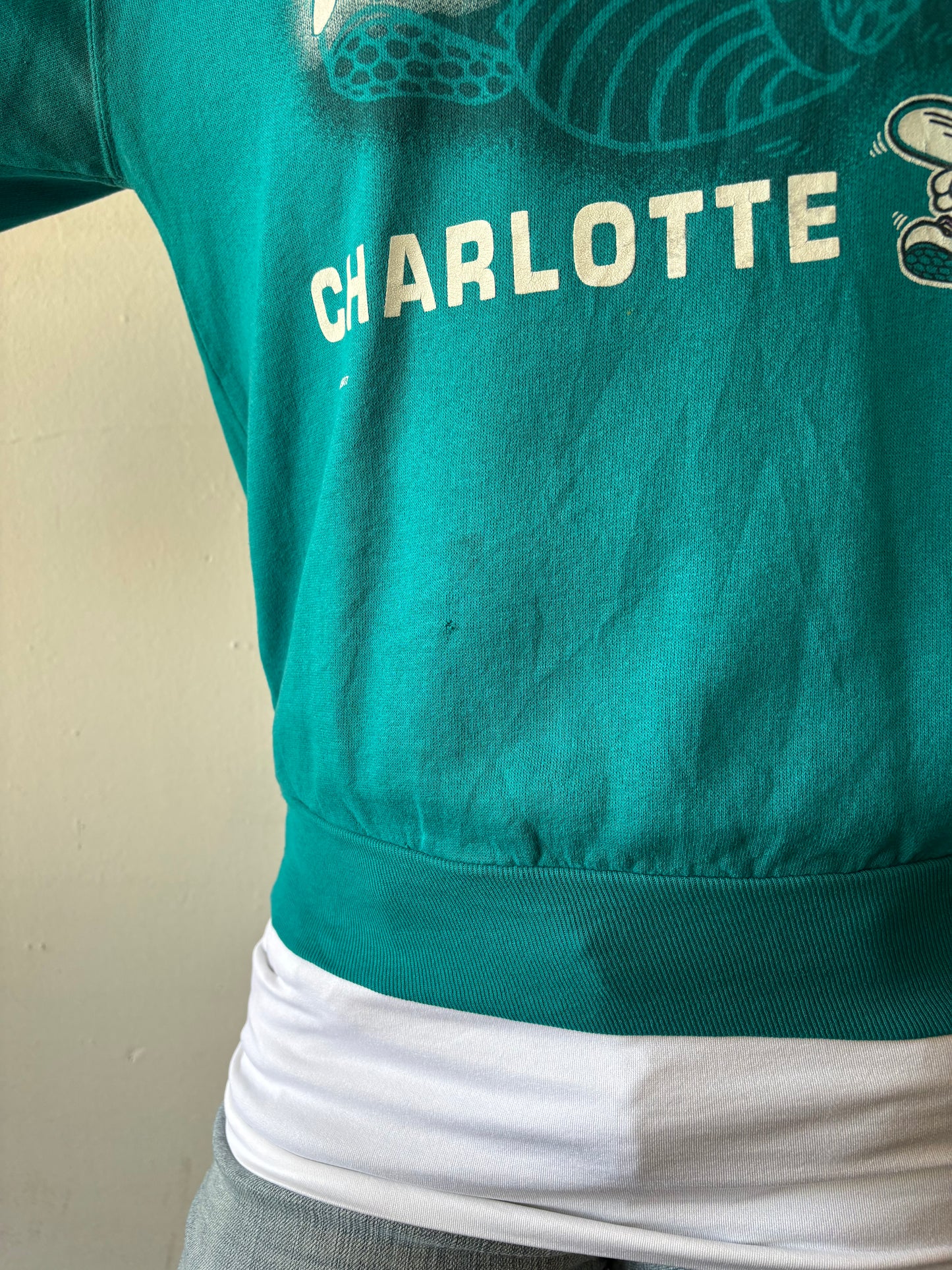 Vintage Charlotte Hornets Crewneck
