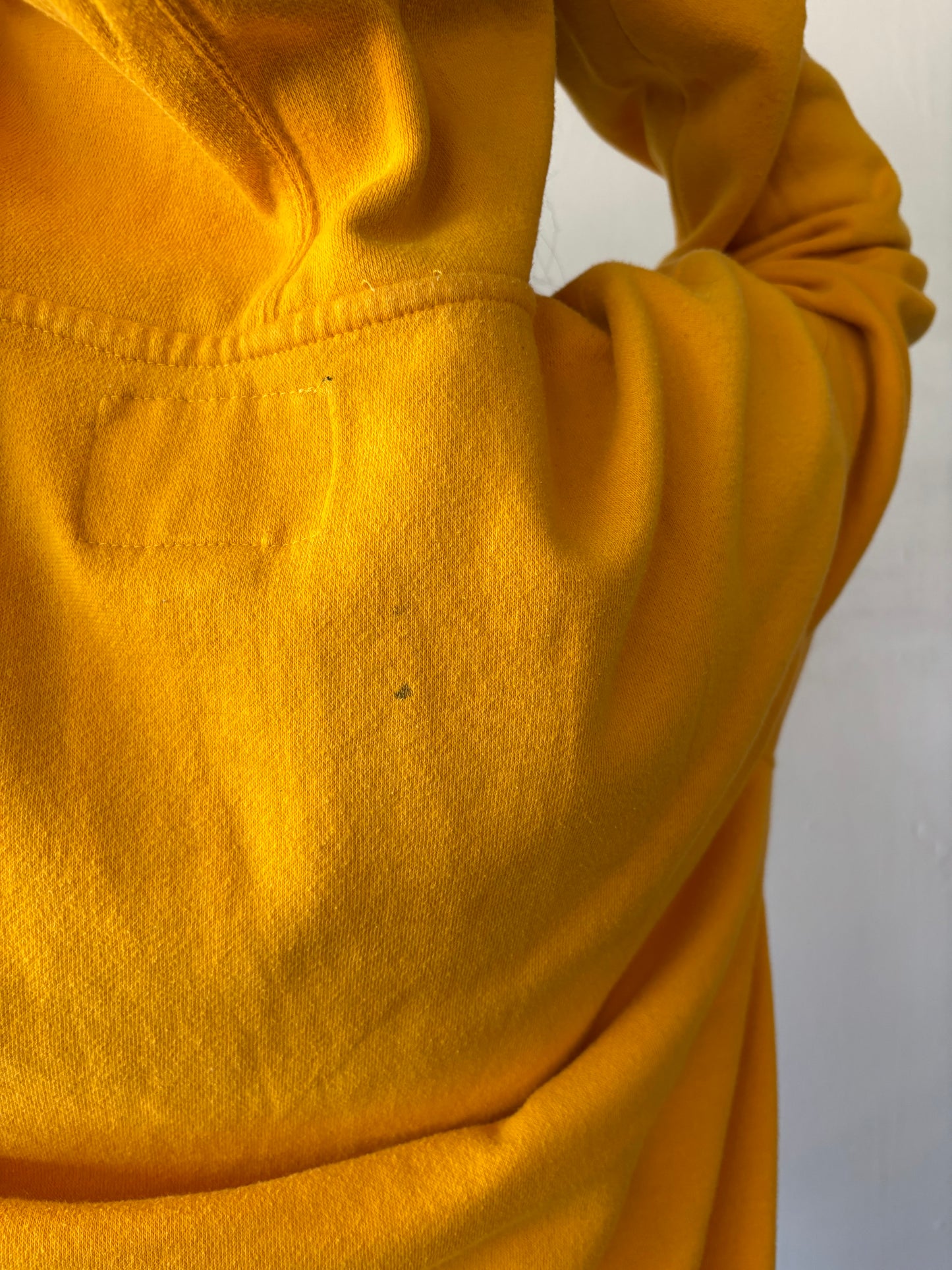 Vintage Michigan Hoodie