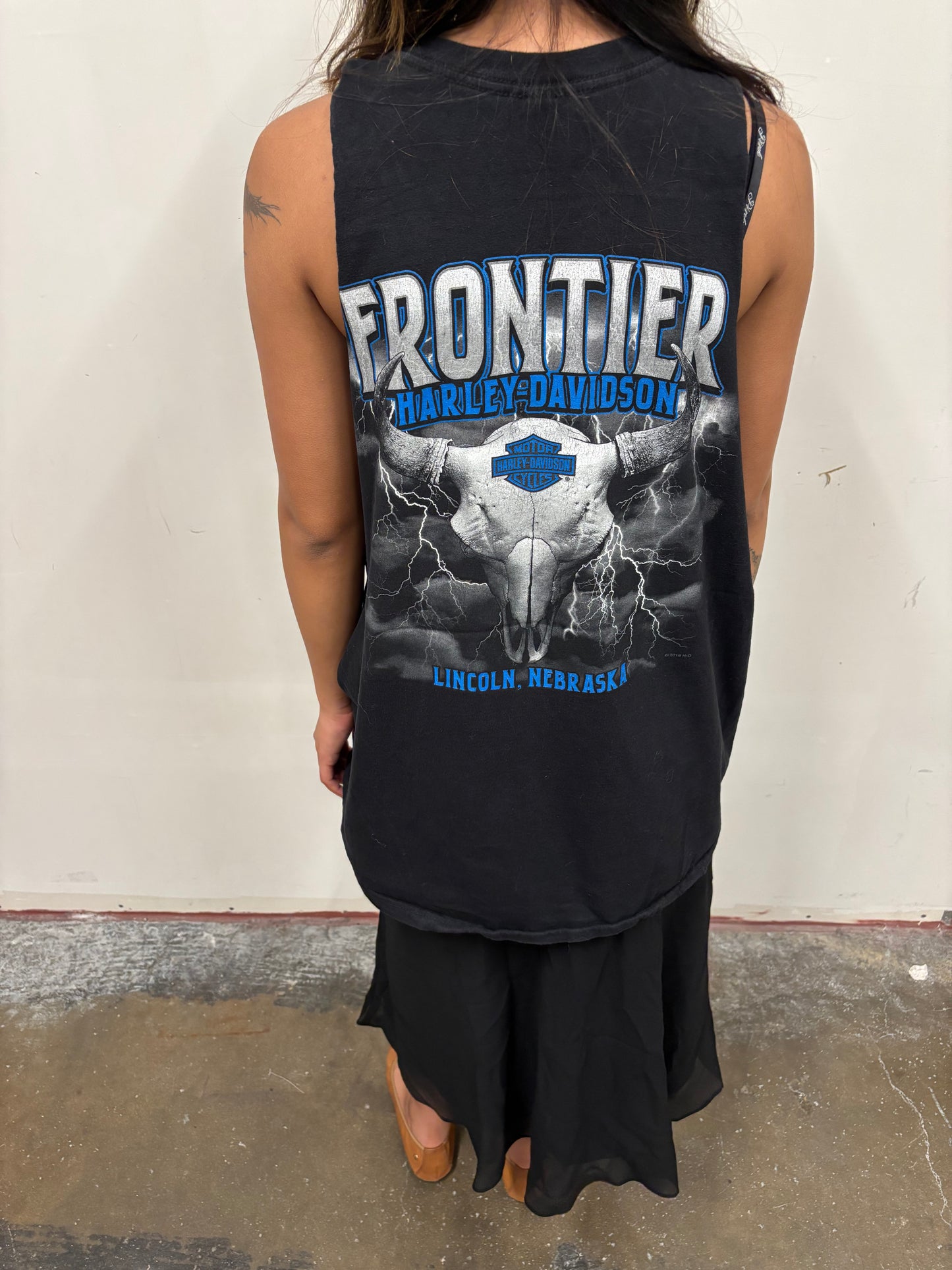 Vintage Harley Davidson Frontier Tank