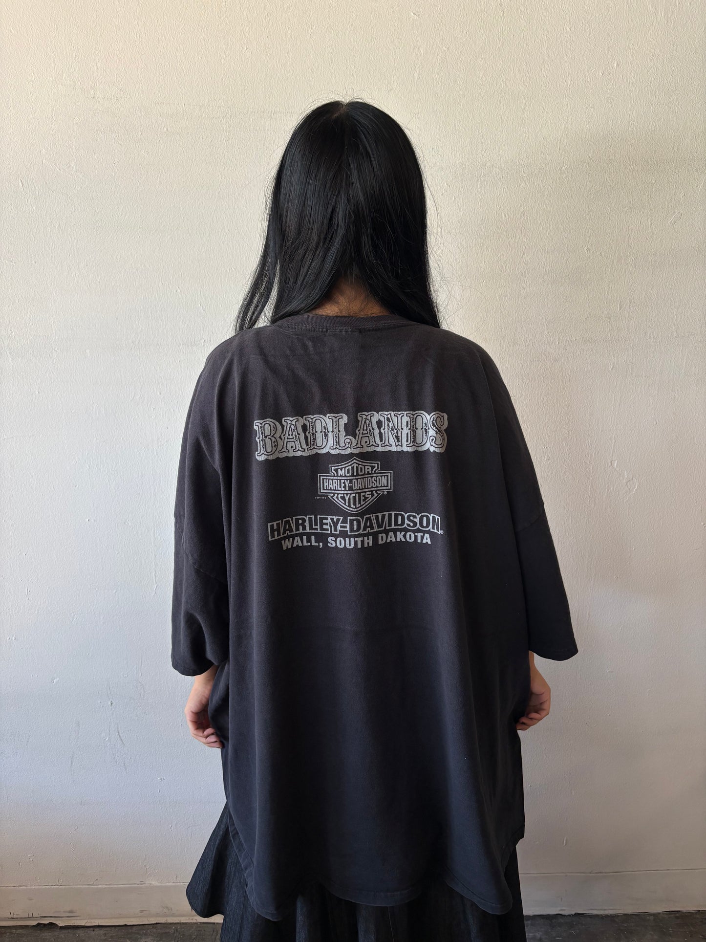 Vintage Harley Davidson South Dakota Shirt