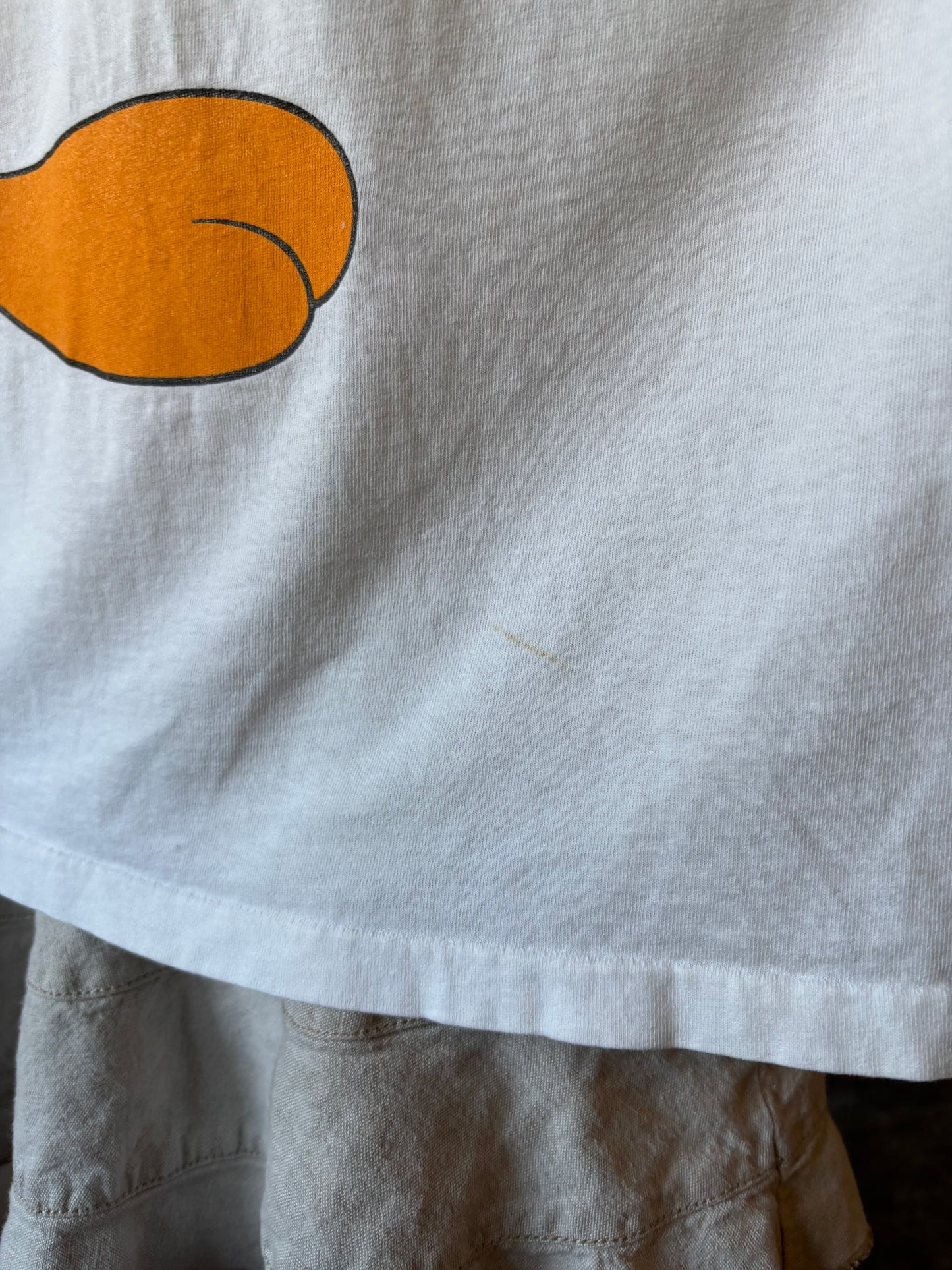 Vintage Tweety Bird Iowa Shirt