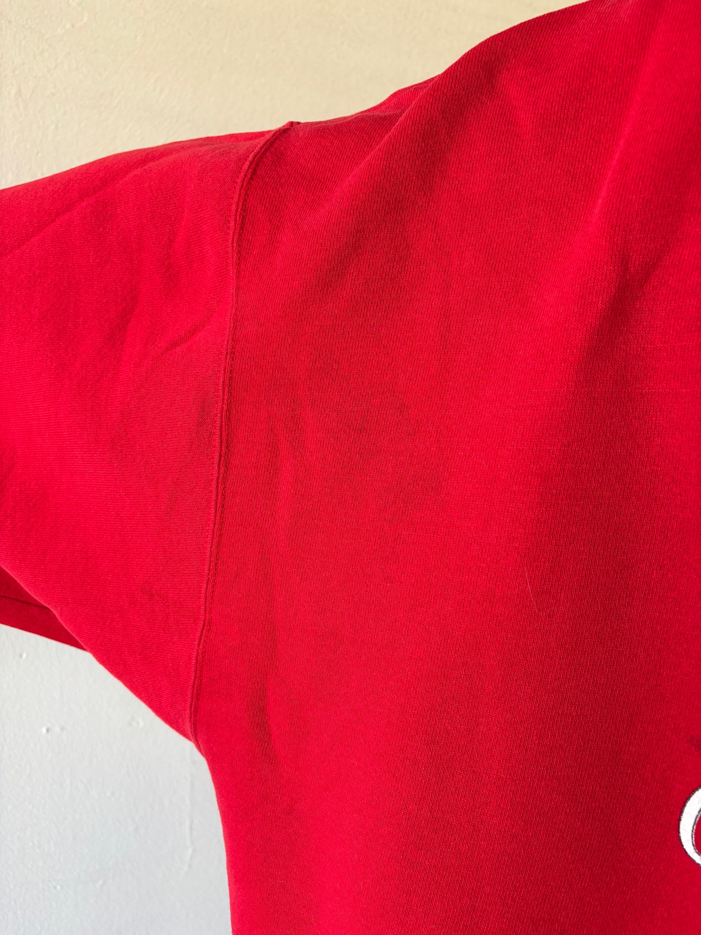 Vintage Walt Disney World Crewneck