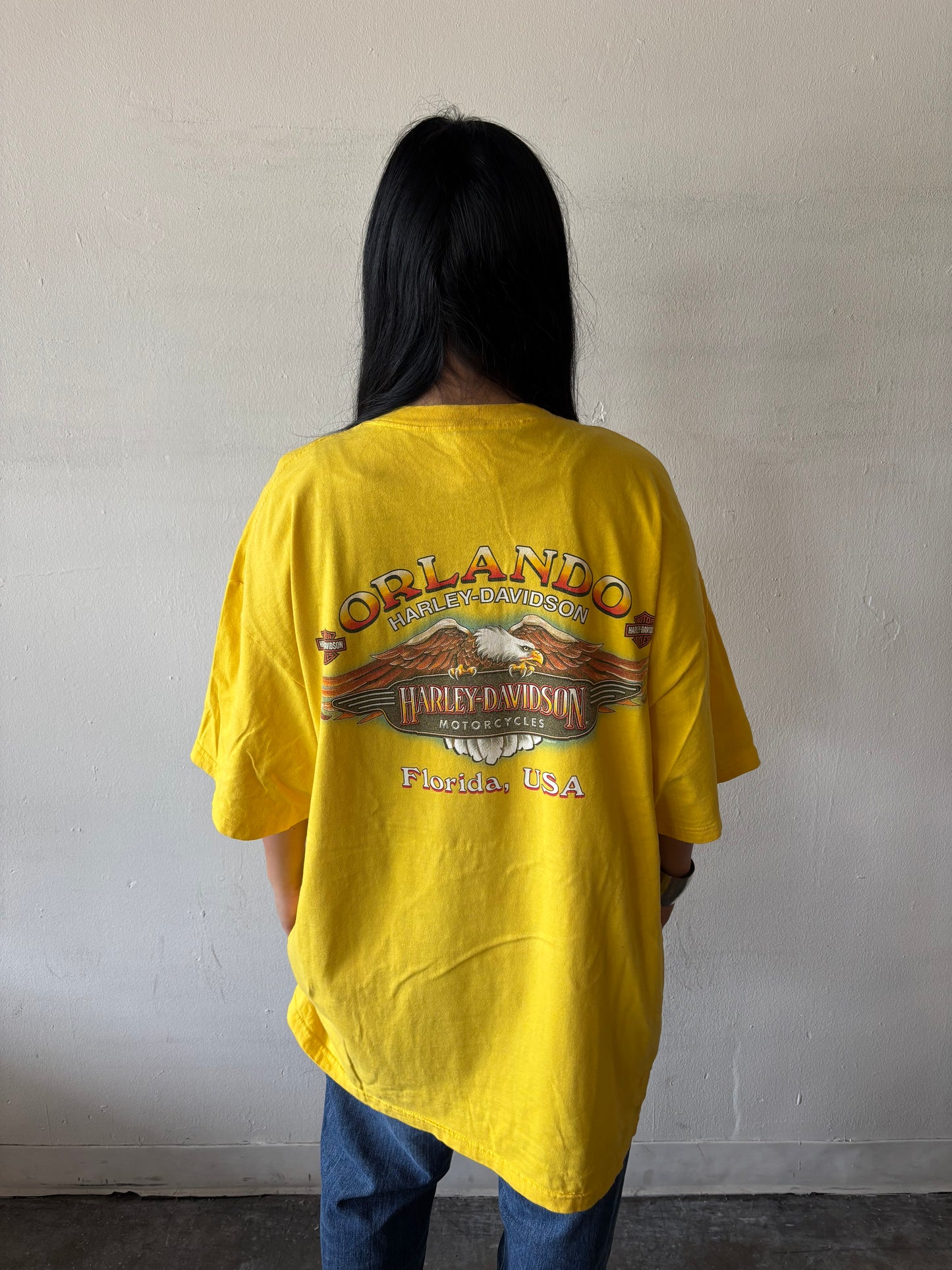 Vintage Harley Davidson Florida Shirt