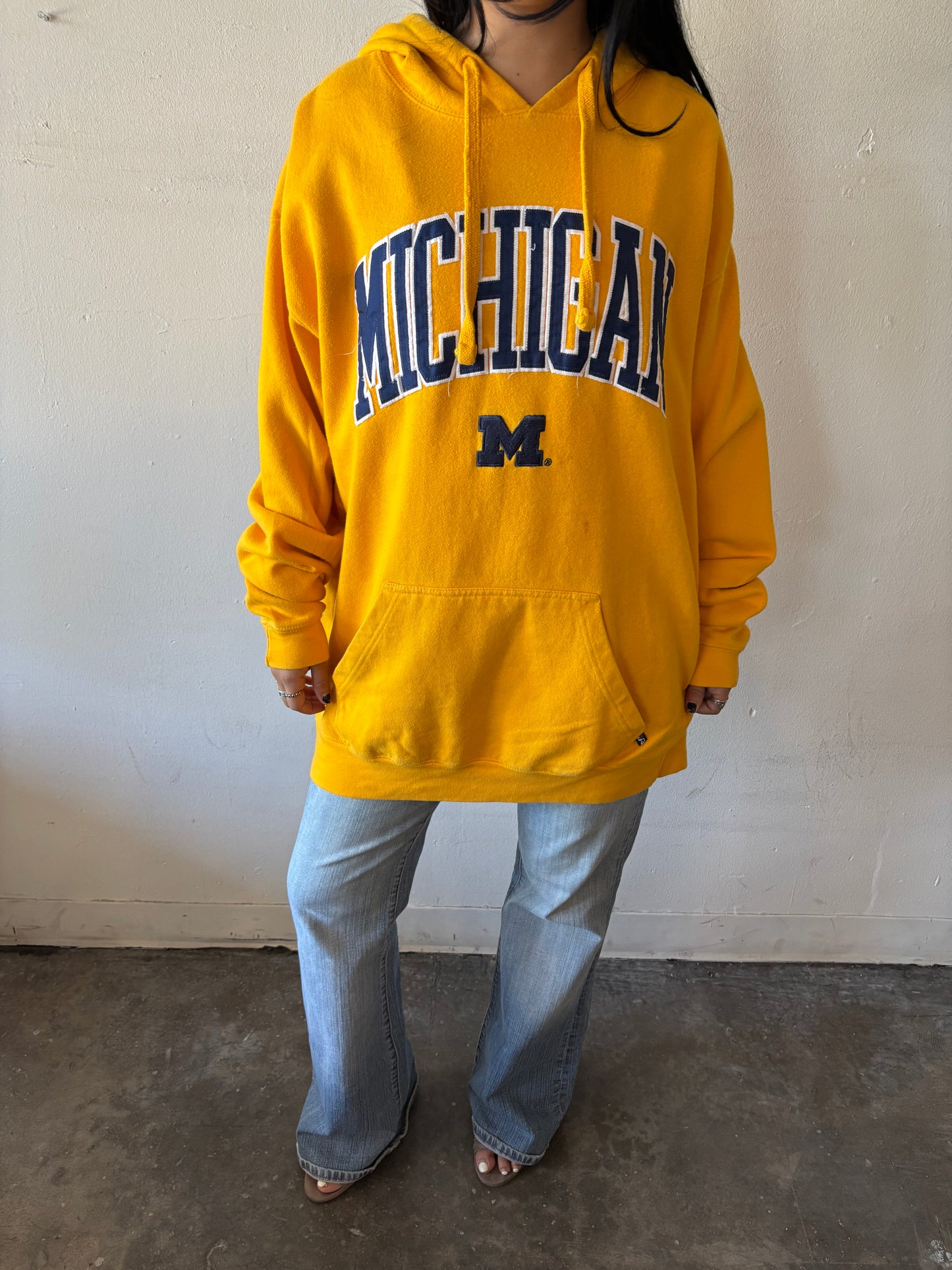 Vintage Michigan Hoodie