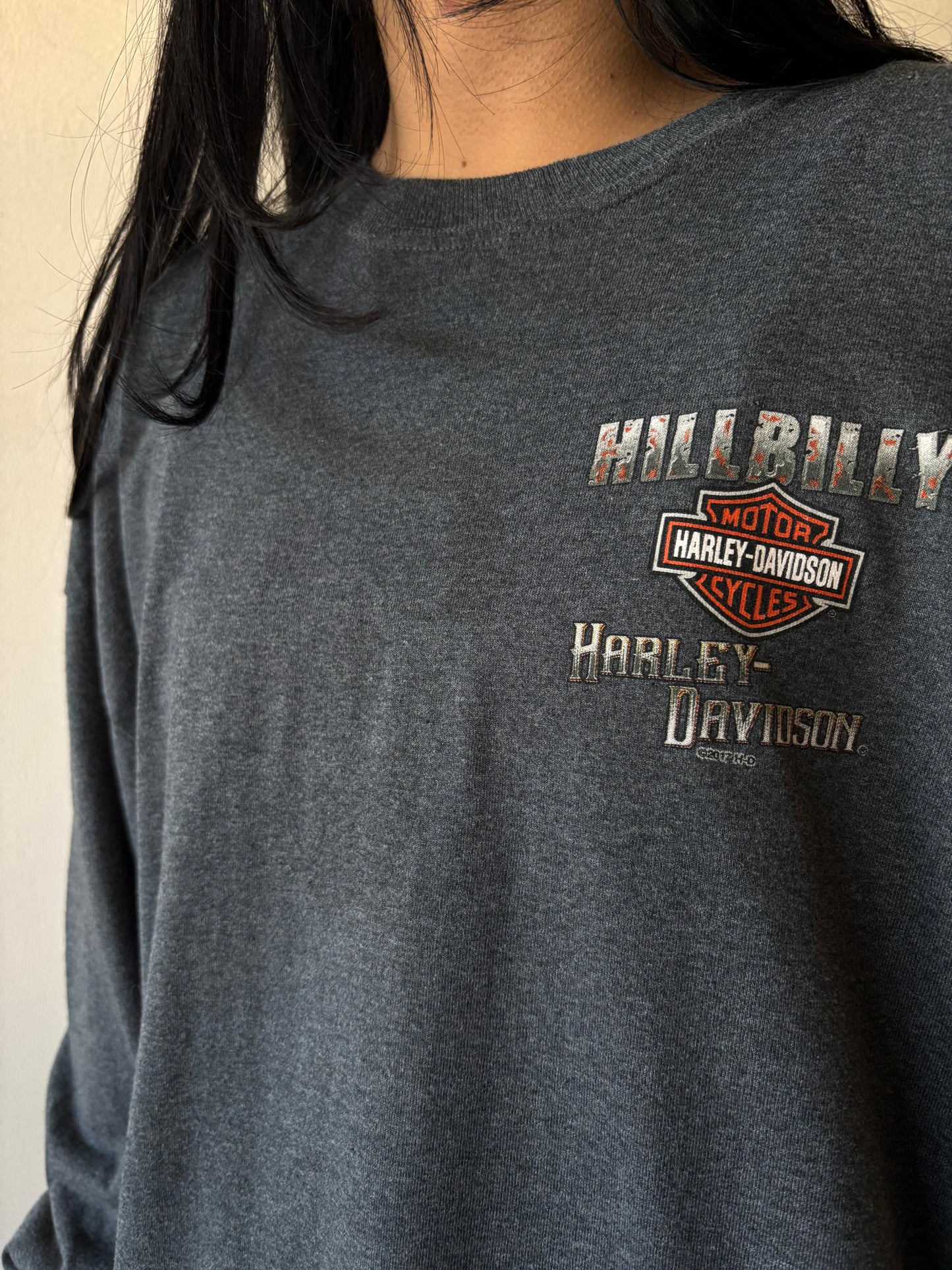Vintage Harley Davidson Smoky Mountain Shirt