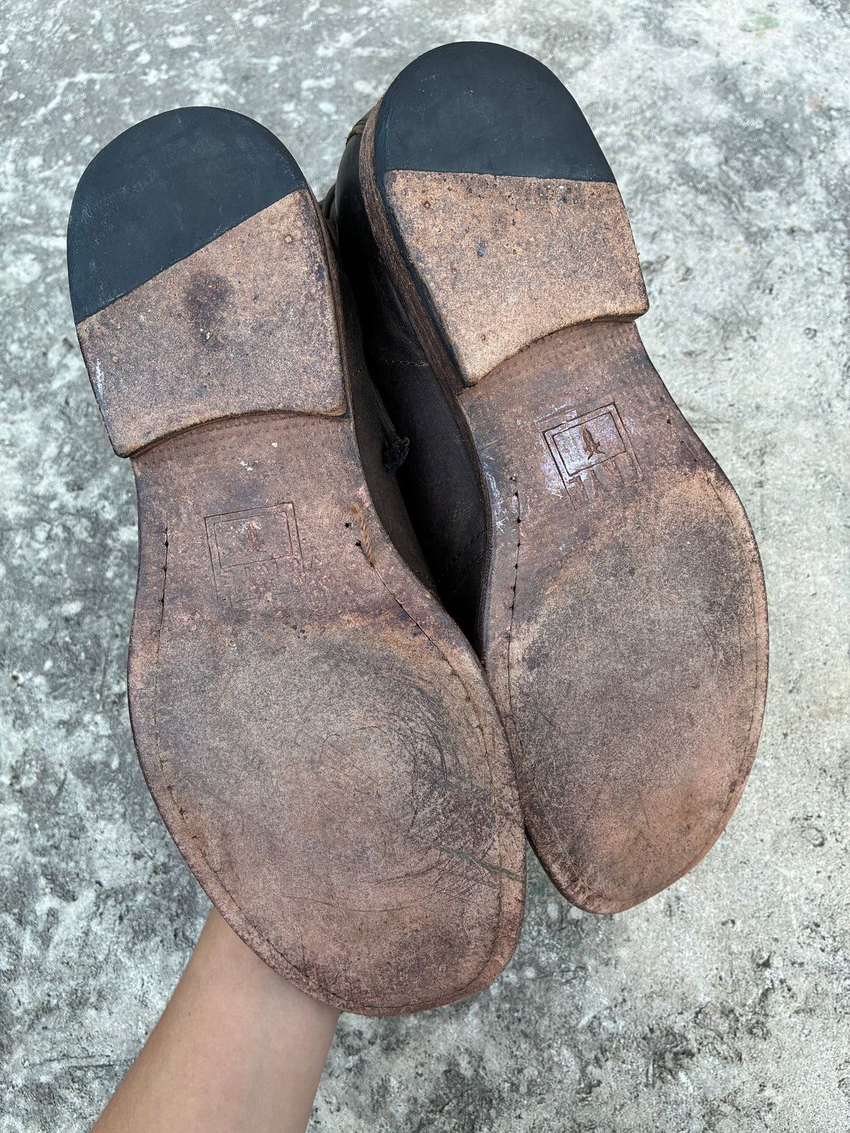 Frye Brown Leather Ankle Boots
