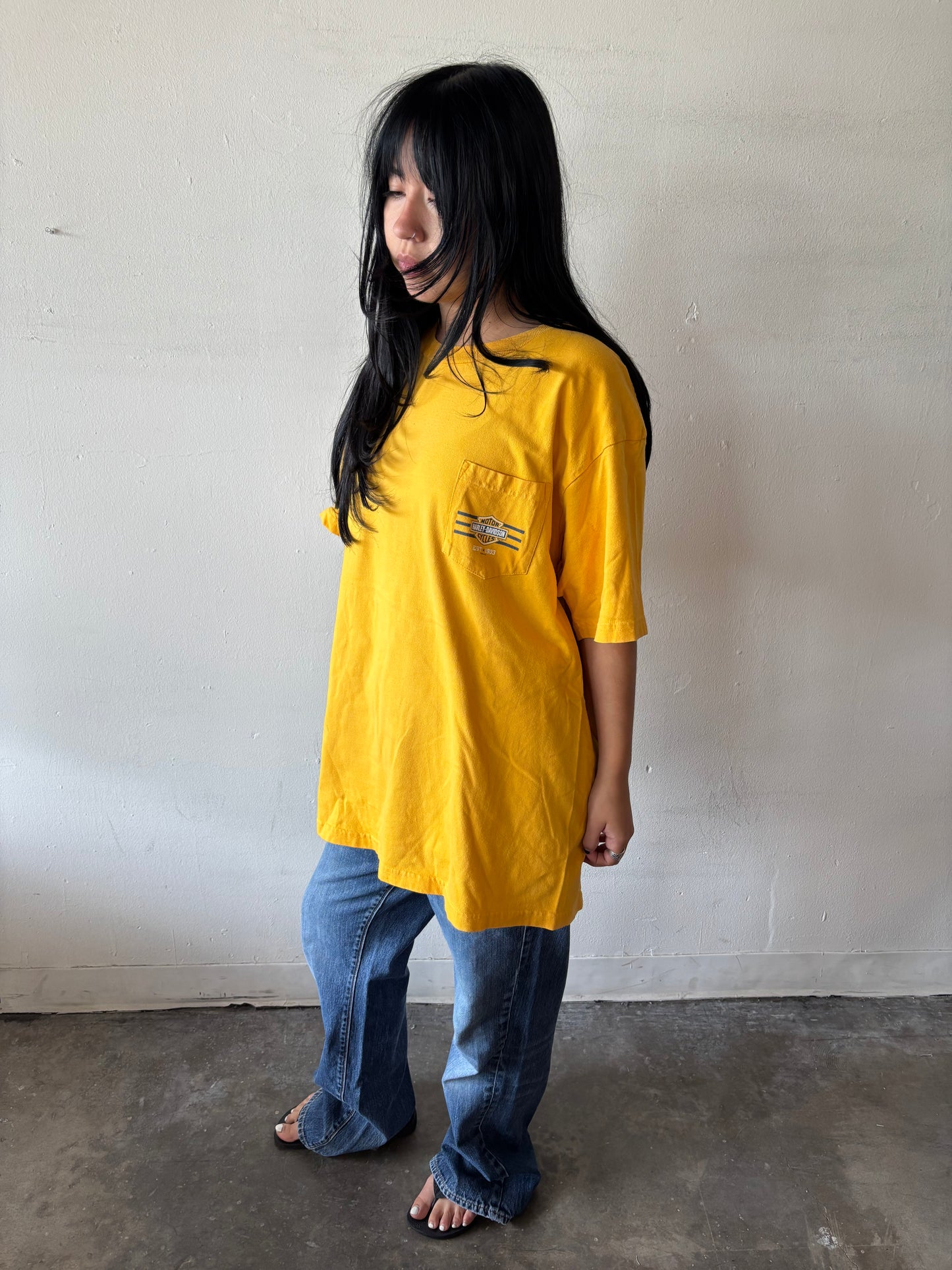Vintage Harley Davidson Wyoming Shirt