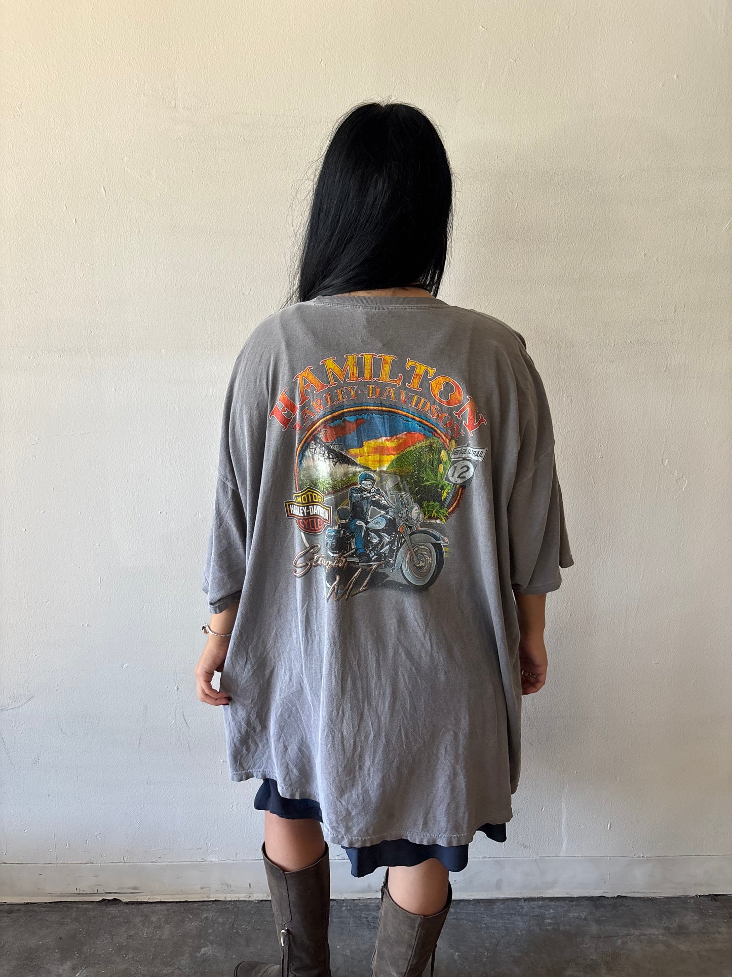 Harley Davidson Hamilton Shirt