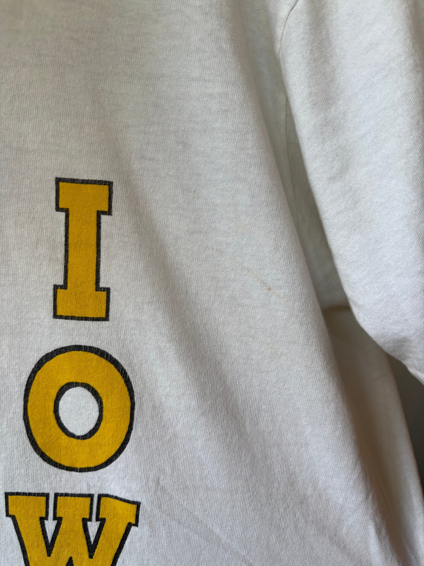 Vintage Tweety Bird Iowa Shirt
