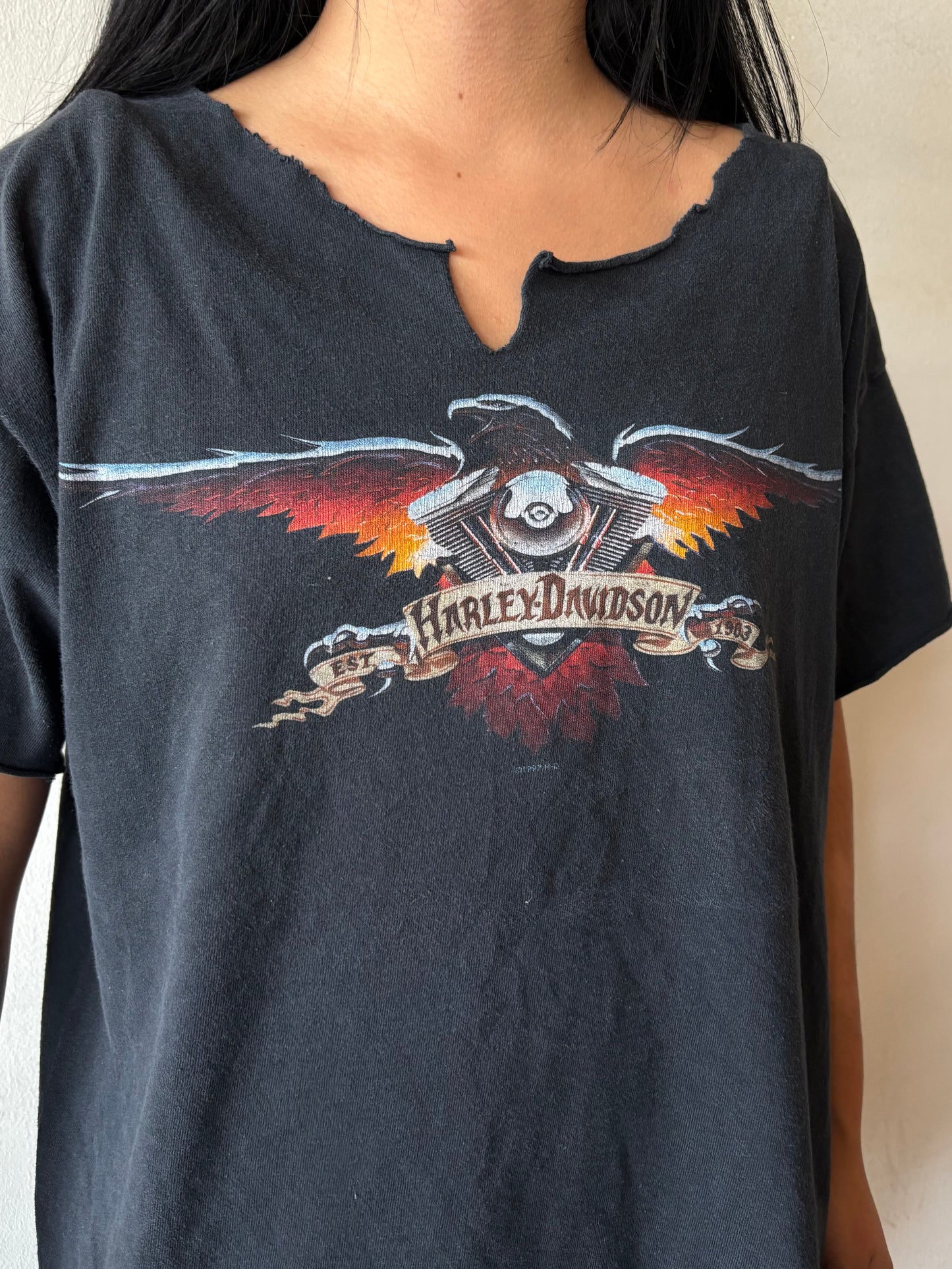 Vintage Harley Davidson Baltimore Shirt