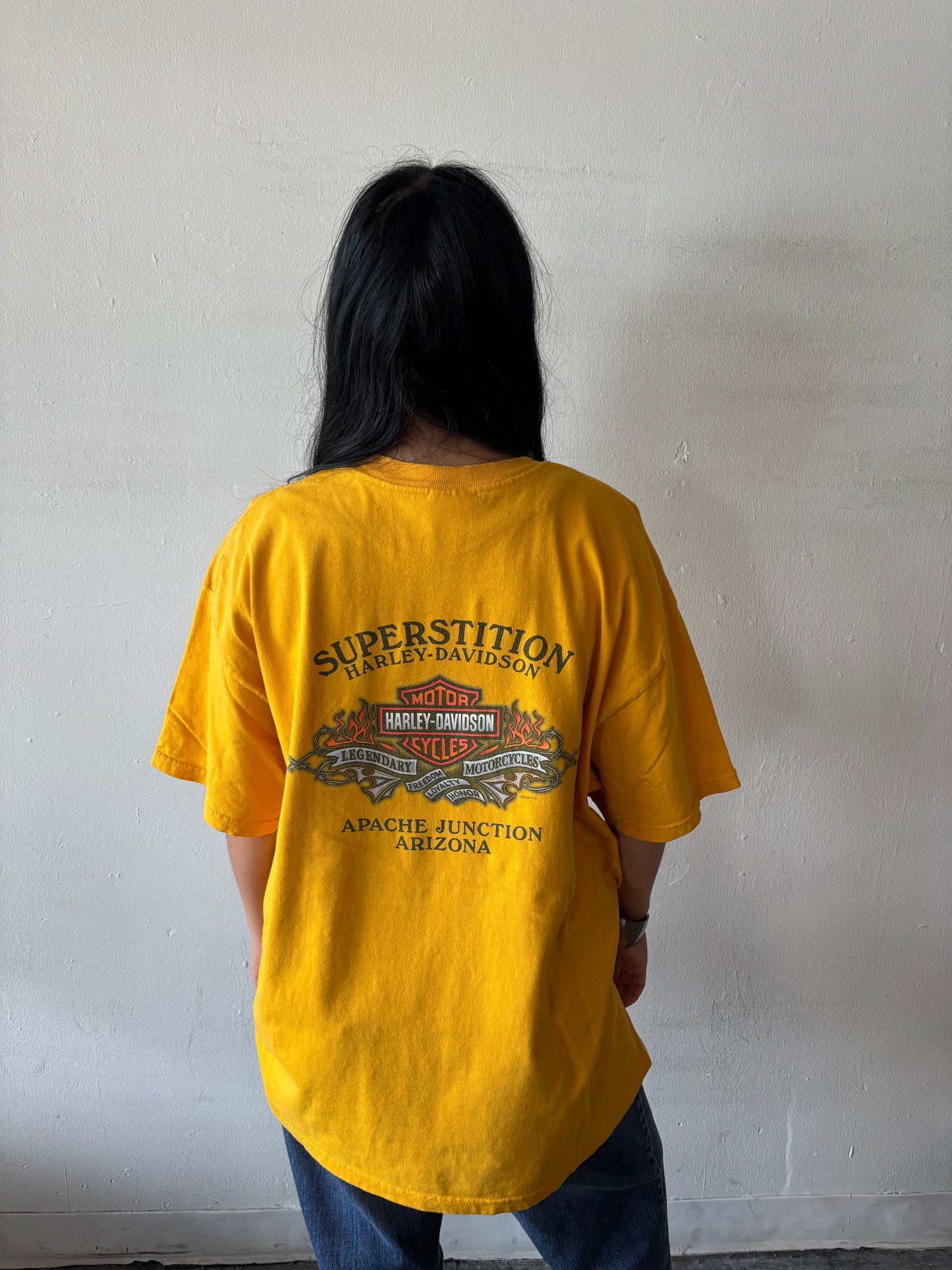 Vintage Harley Davidson Arizona Shirt