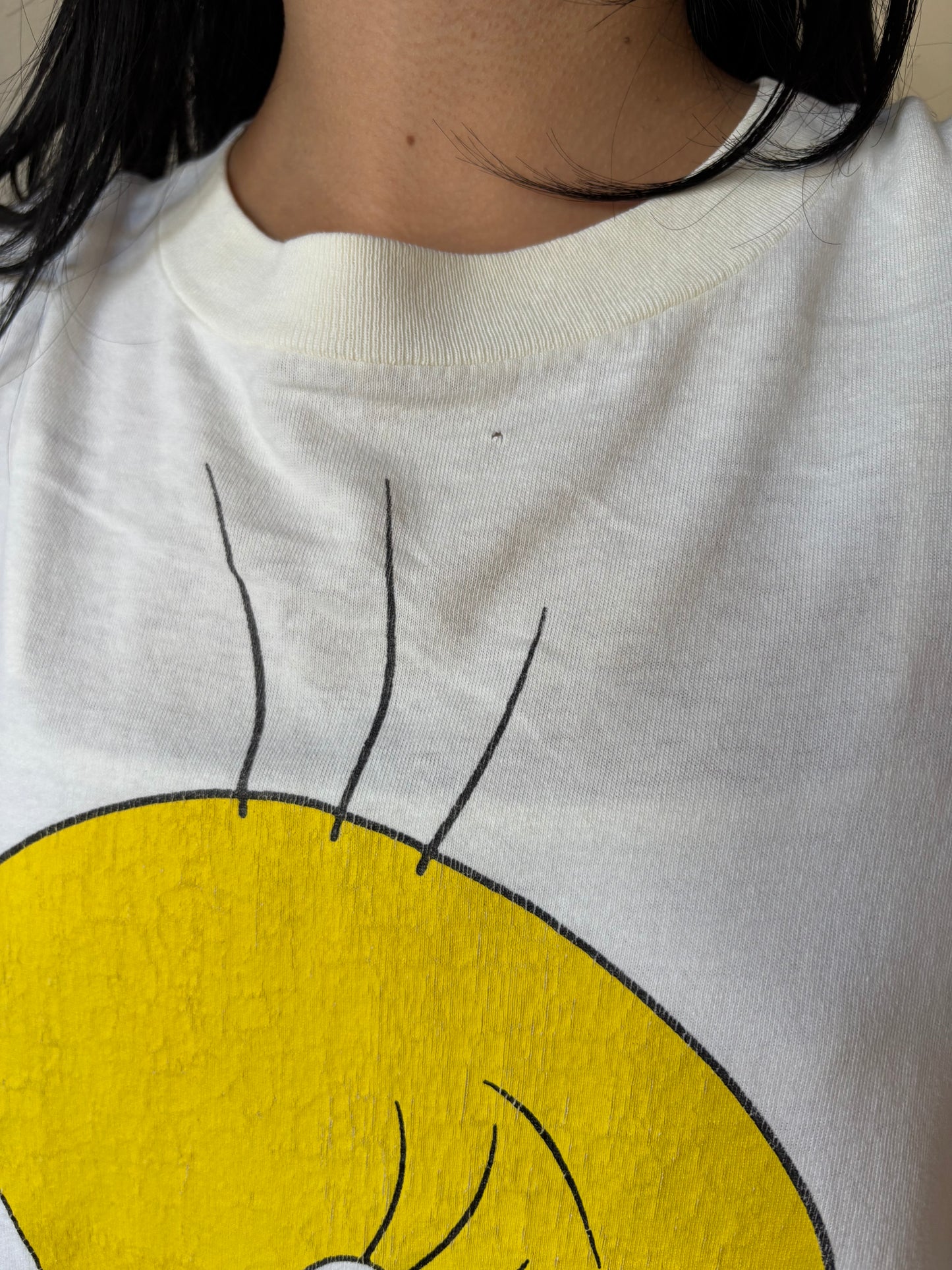 Vintage Tweety Bird Iowa Shirt