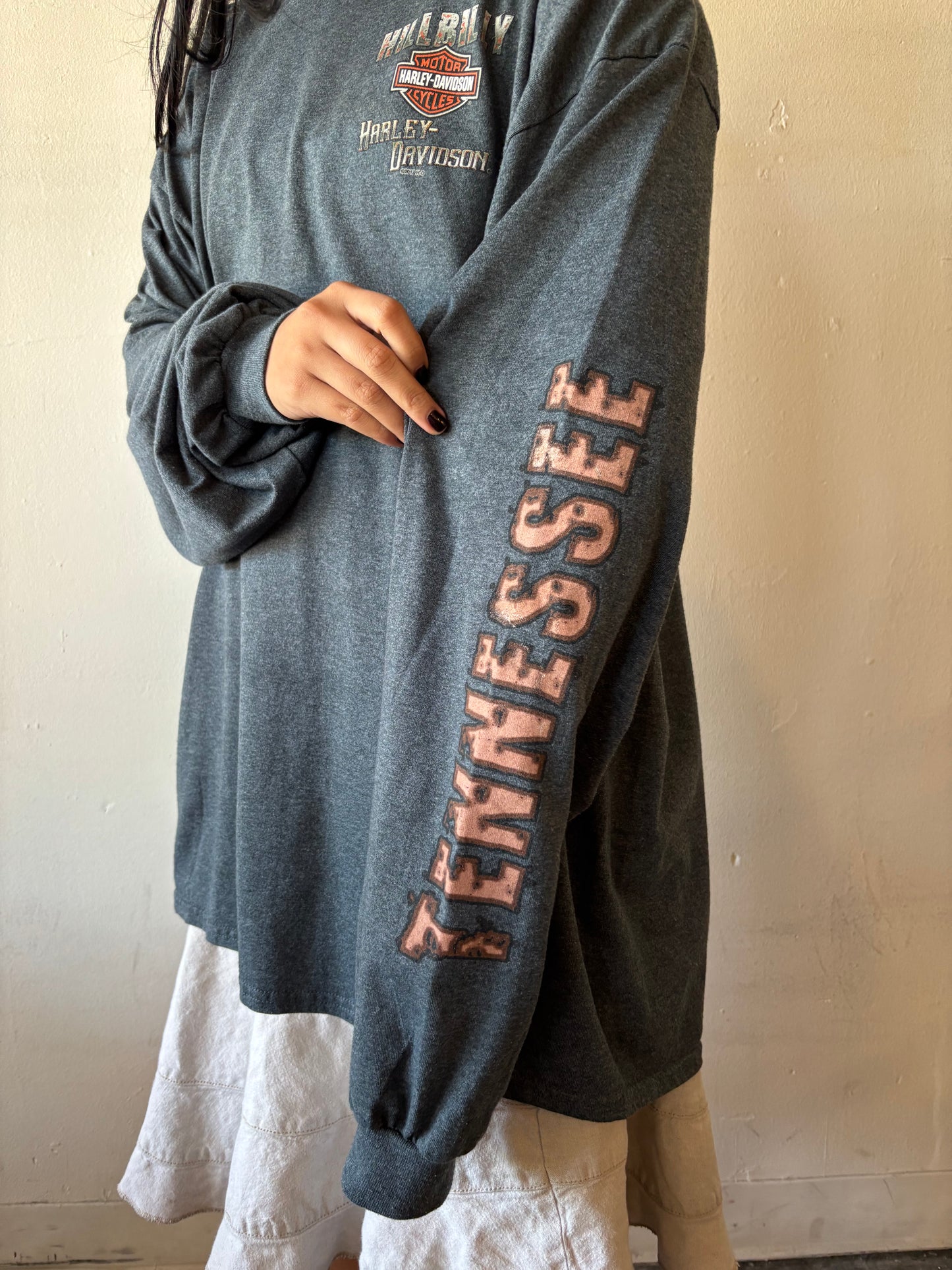 Vintage Harley Davidson Smoky Mountain Shirt