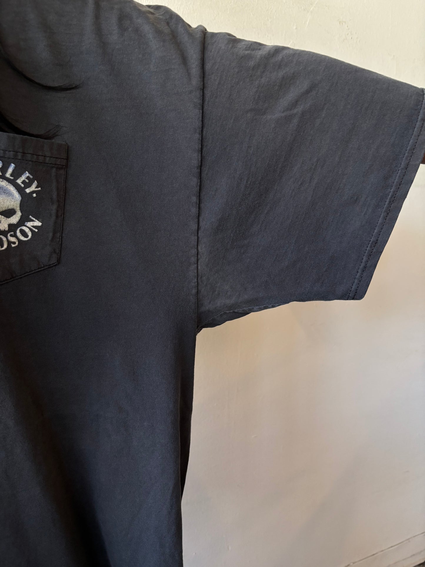 Vintage Harley Davidson Sioux Falls Shirt