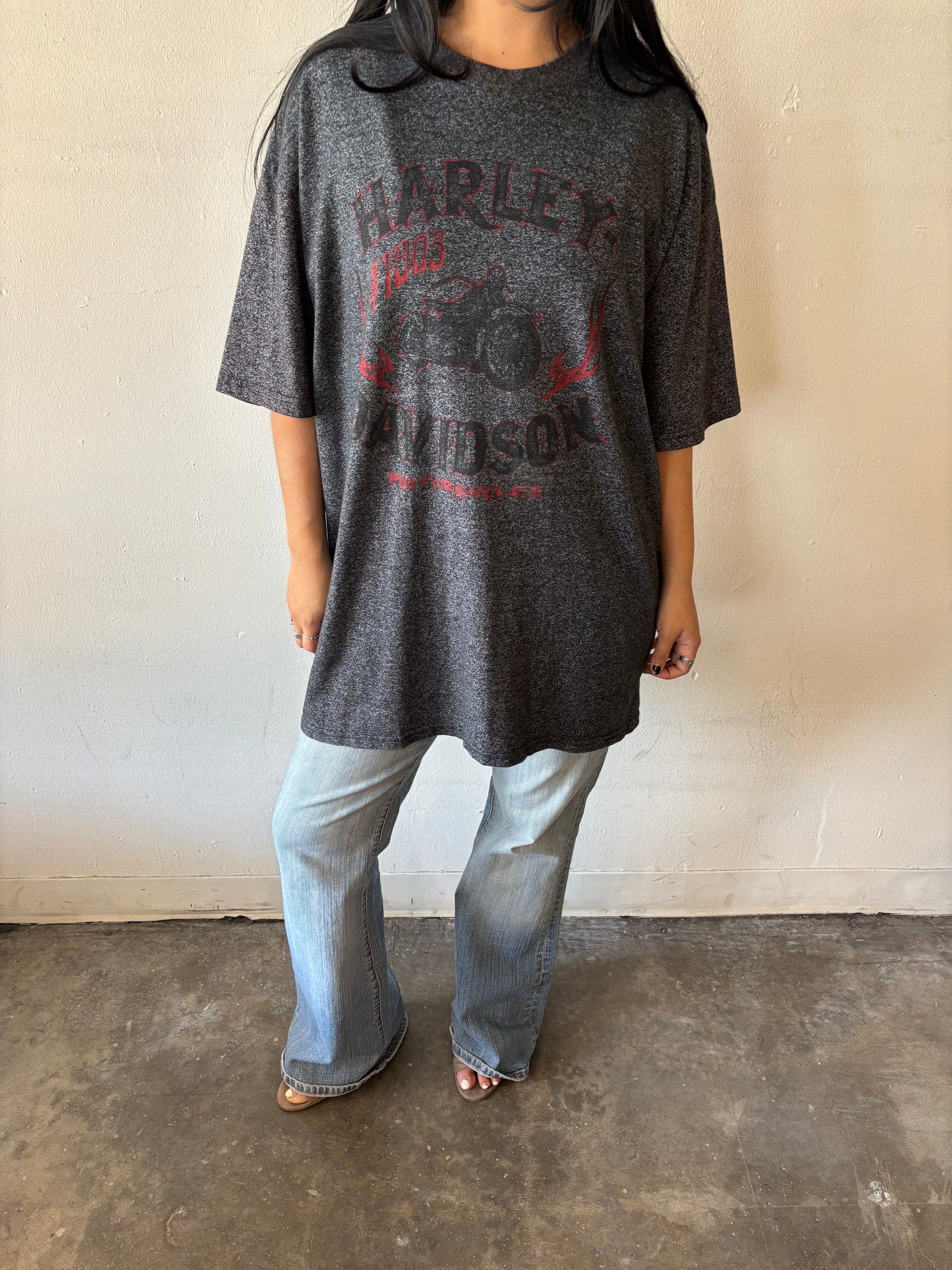 Vintage Harley Davidson El Paso Shirt