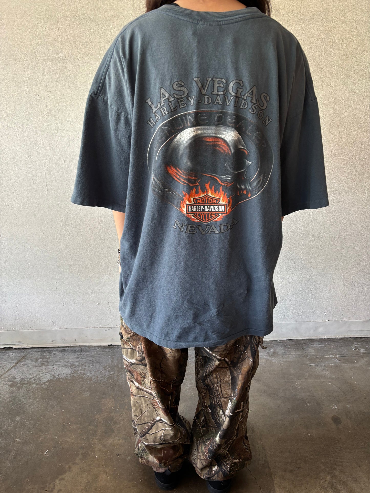 Vintage Harley Davidson Nevada Shirt