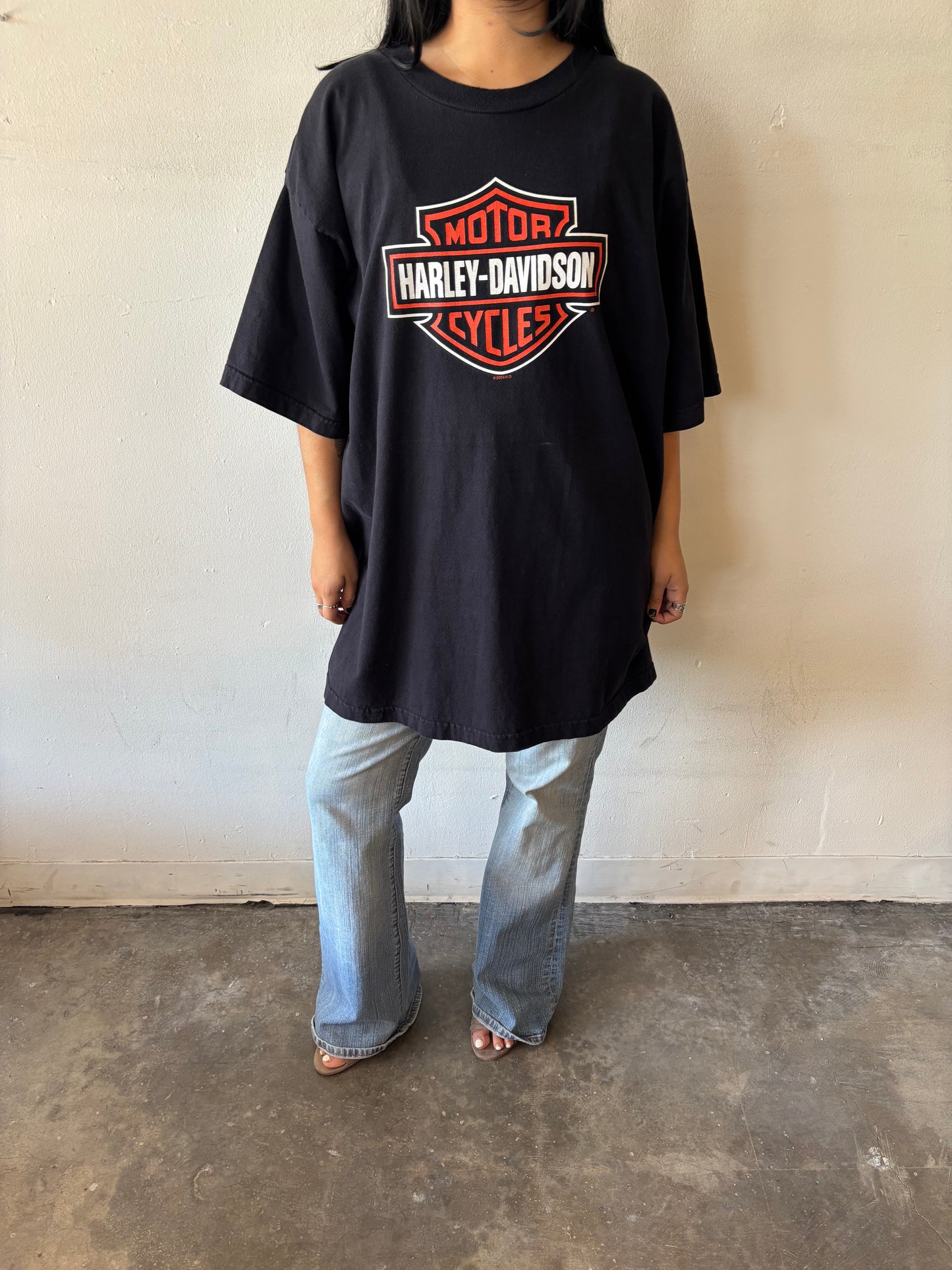 Vintage Harley Davidson Crystal River Shirt