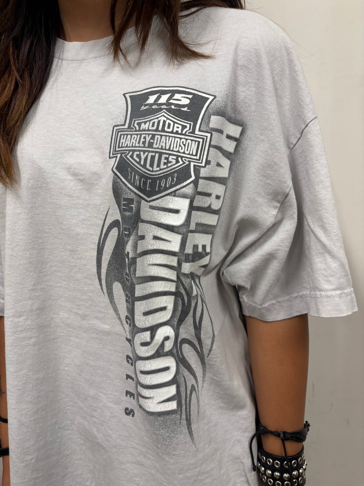 Vintage Harley Davidson Pocono Shirt