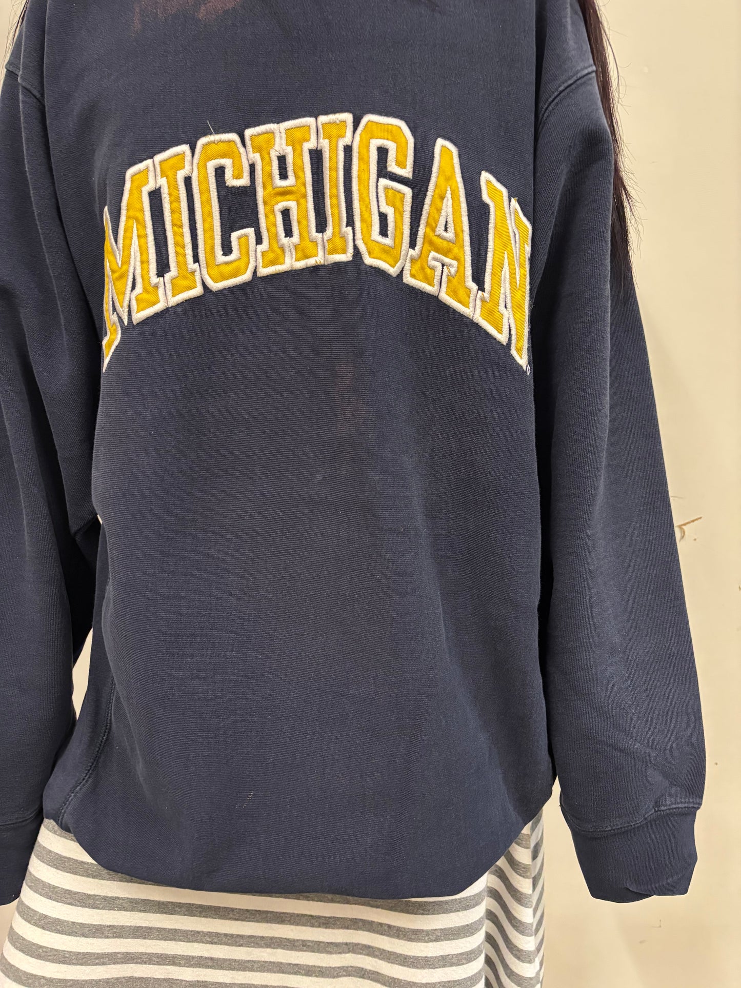 Vintage Michigan Crewneck