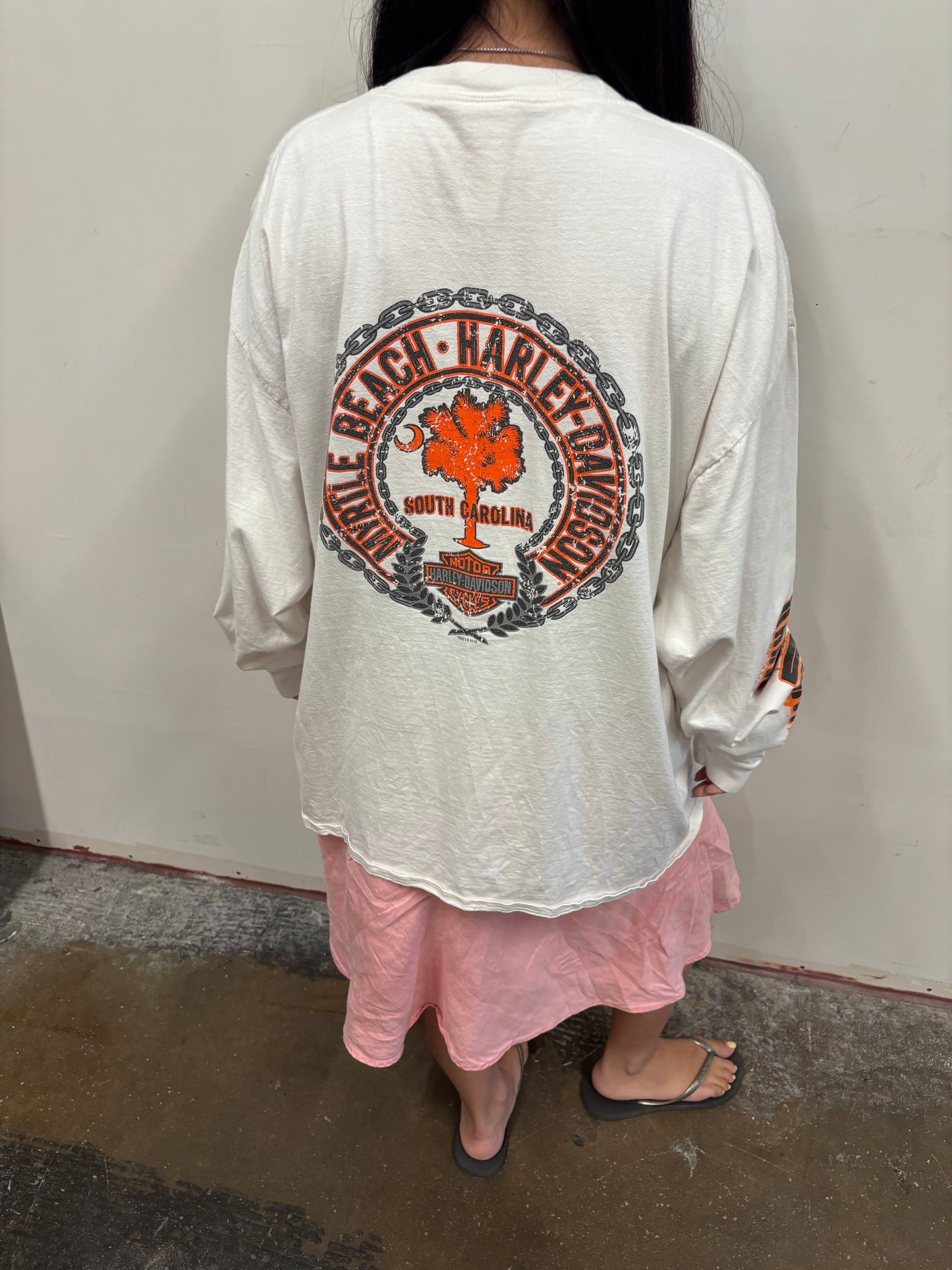 Vintage Harley Davidson South Carolina Shirt