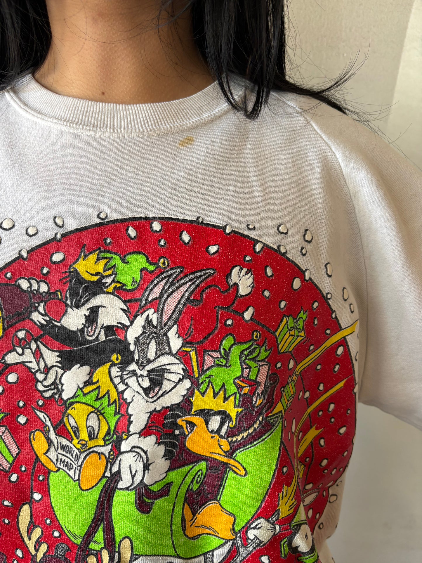 Vintage Looney Tunes Christmas Crewneck