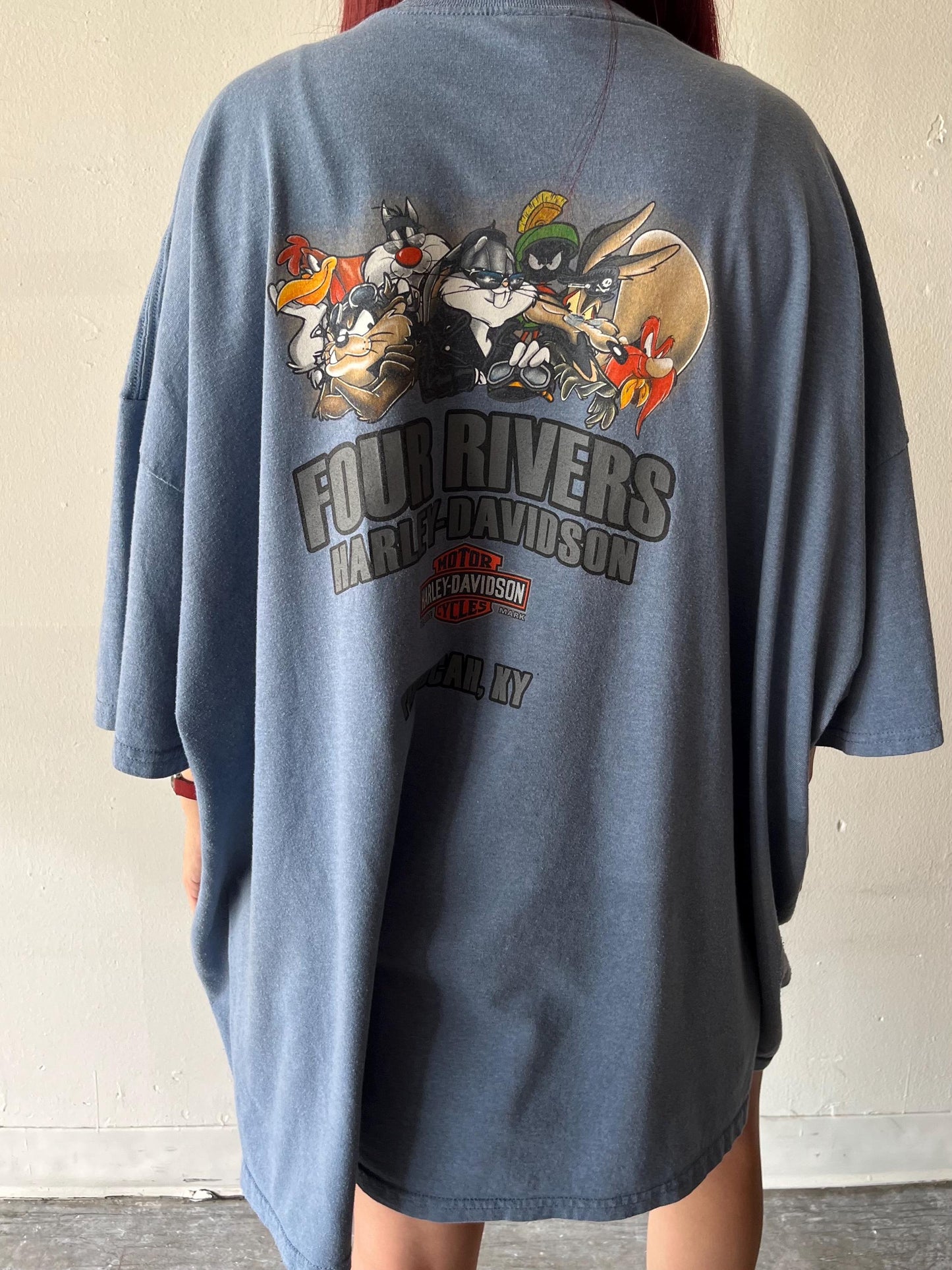 Vintage Looney Tunes Harley Davidson Shirt