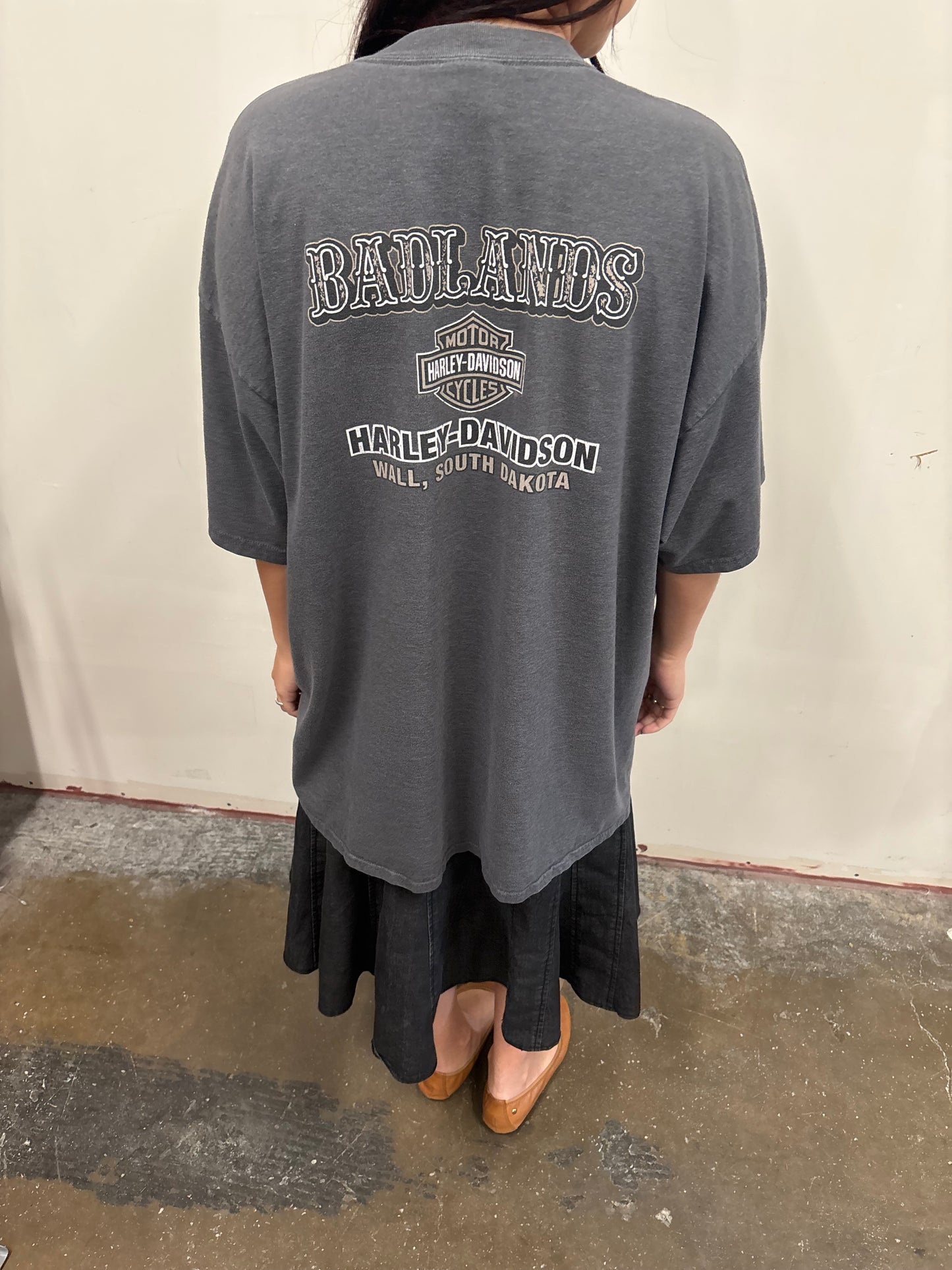 Vintage Harley Davidson South Dakota Shirt