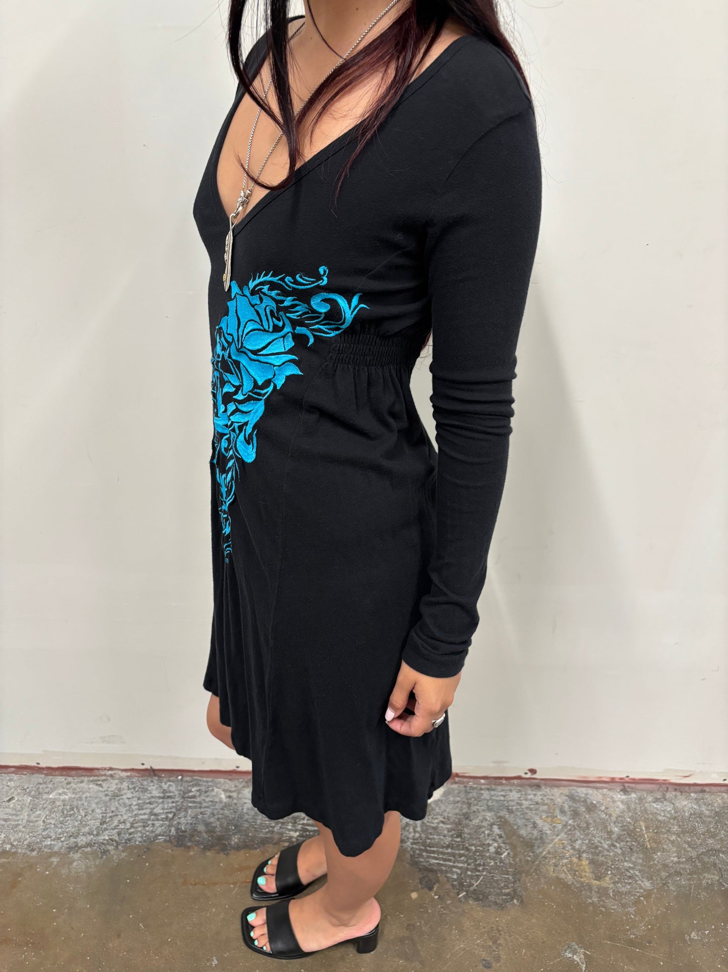 Rose Embroidered Dress
