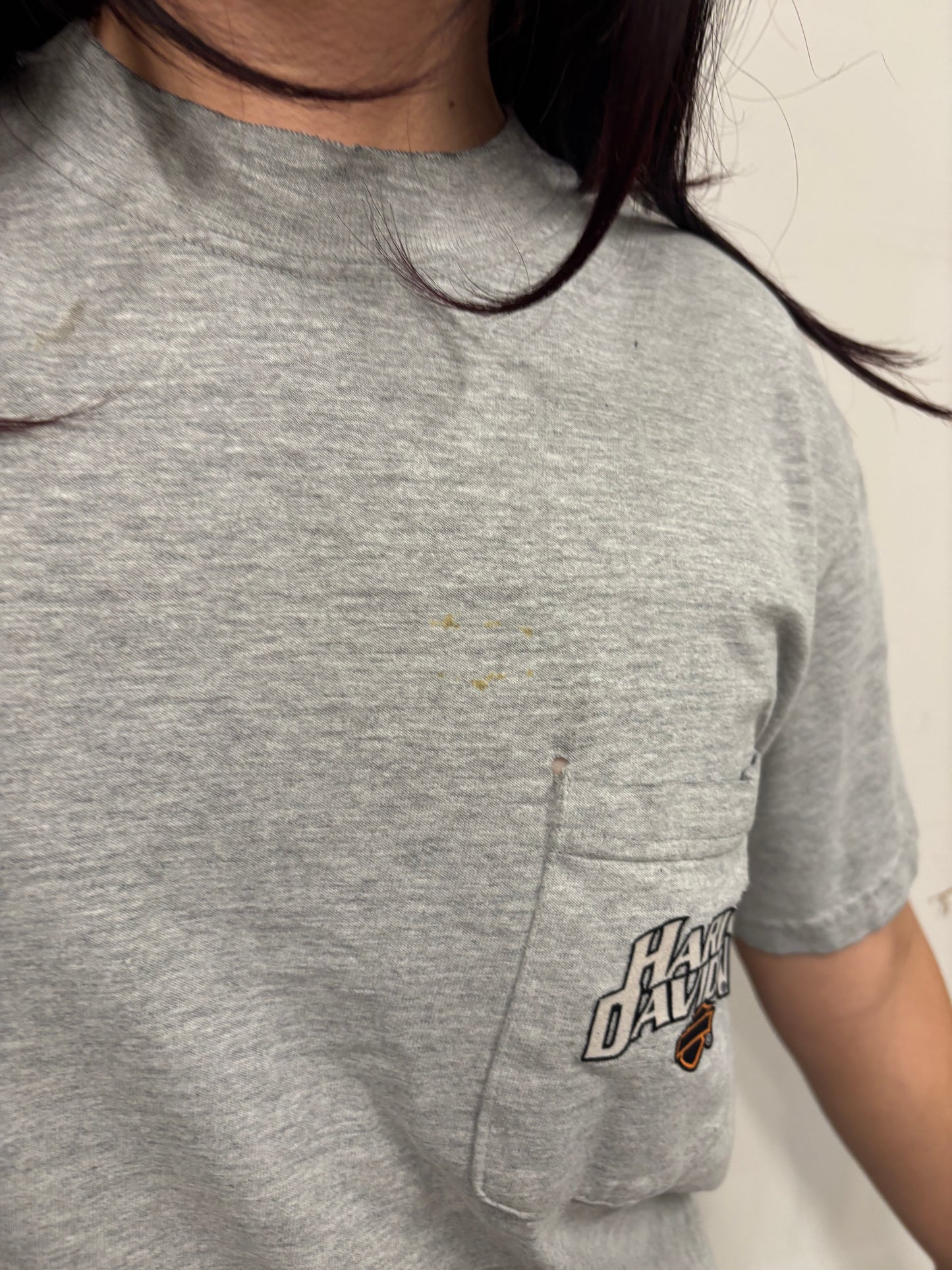 Vintage Harley Davidson Illinois Shirt