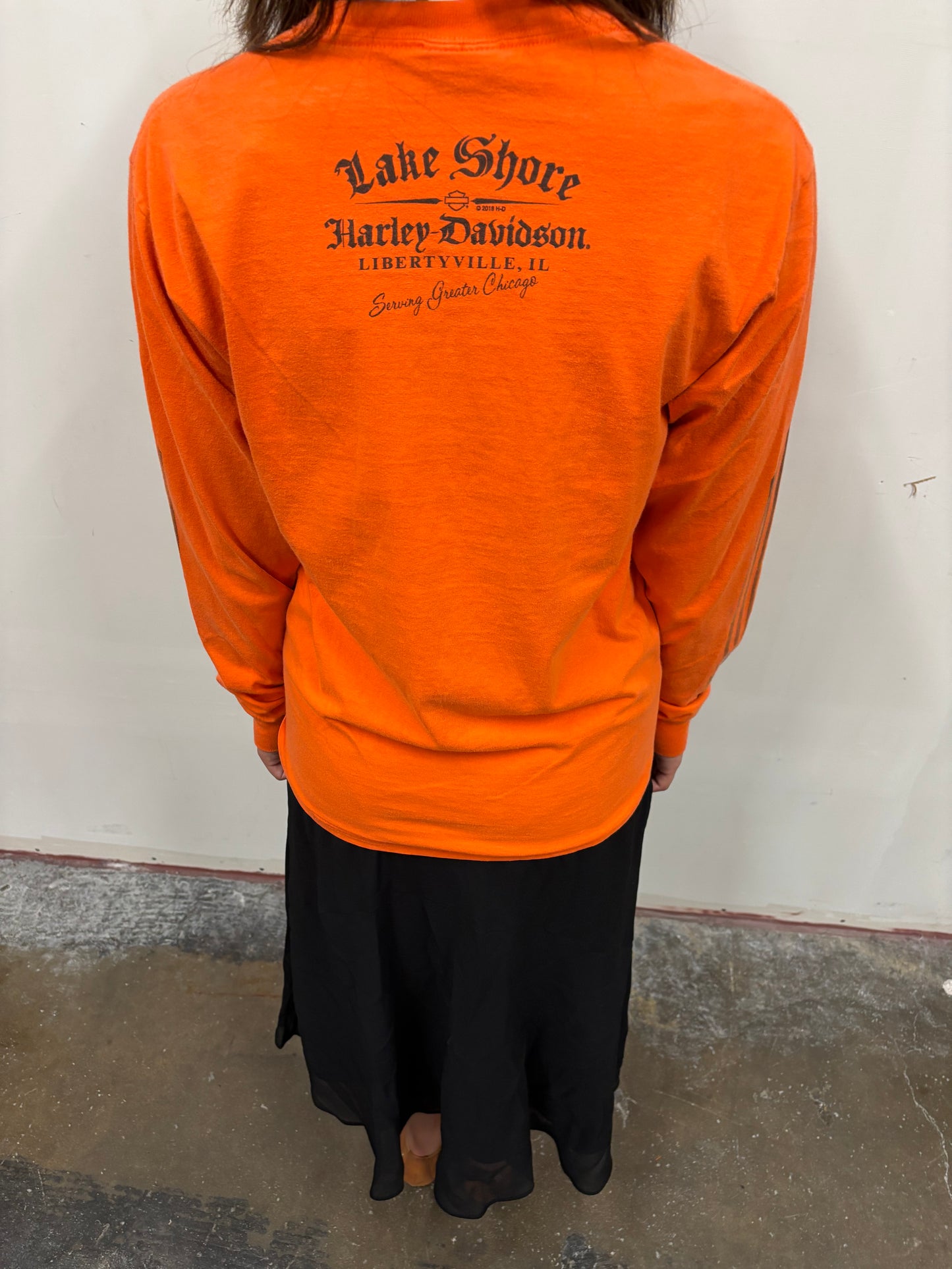 Vintage Harley Davidson Lake Shore Shirt
